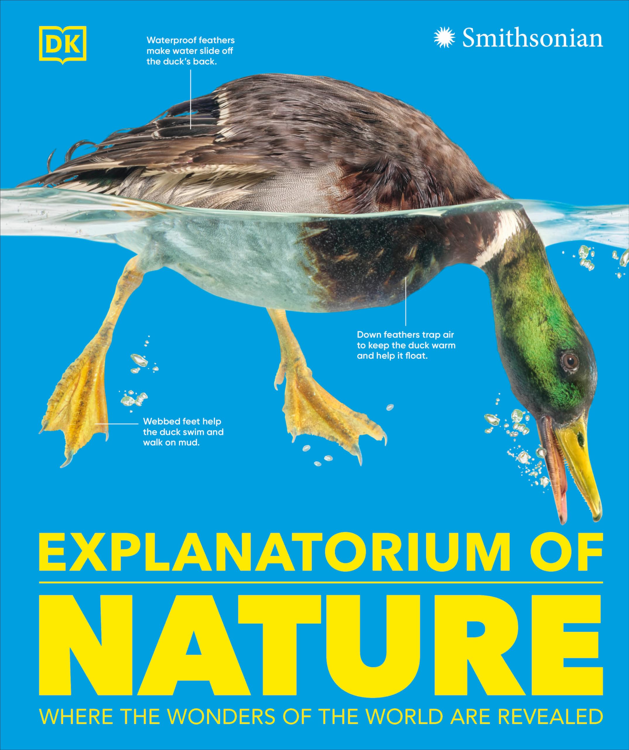 Explanatorium of Nature: Where the Wonders of the World are Revealed (DK Explanatorium)