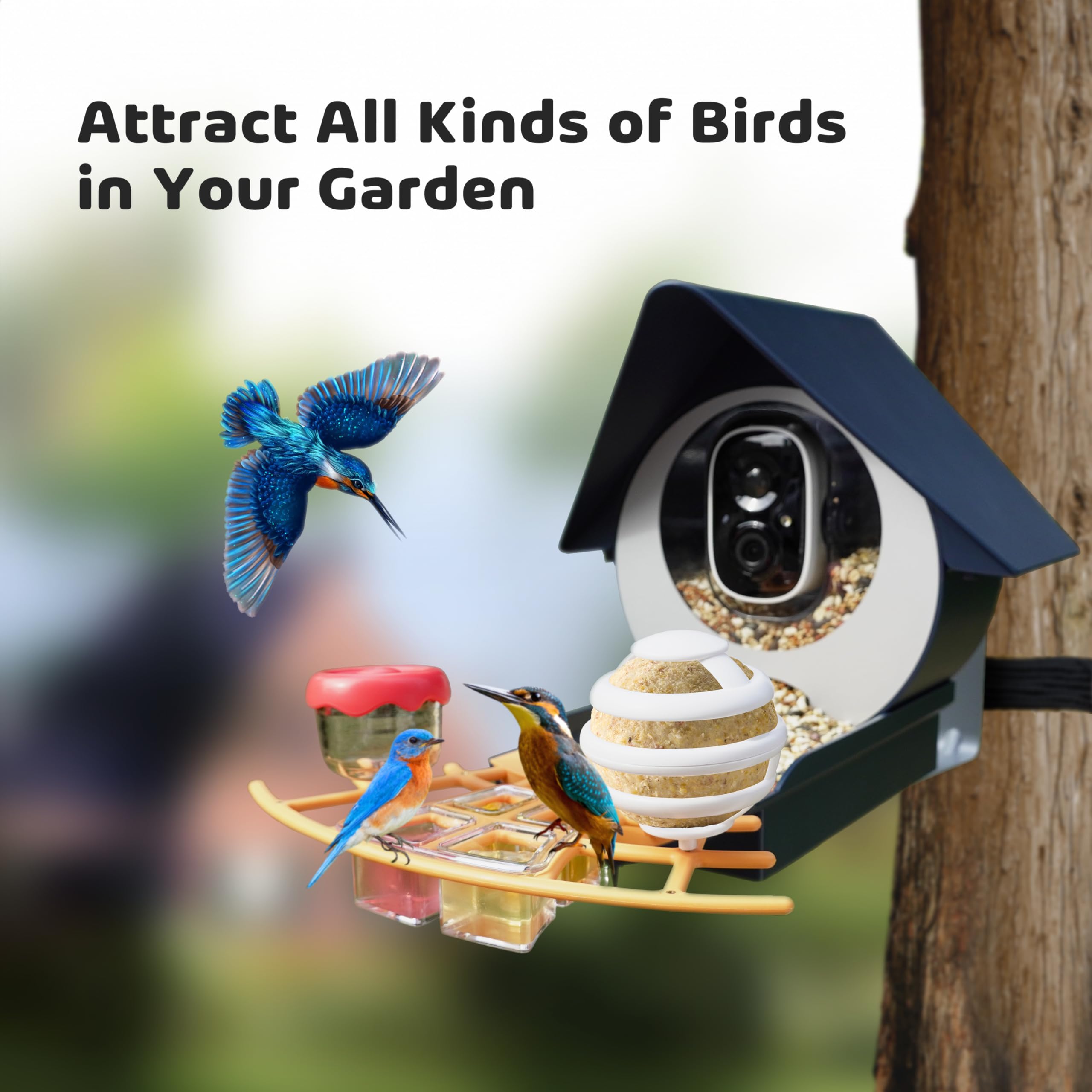 Birdkiss Comedero inteligente para pájaros con panel solar, diferentes complementos, incluyendo protector de semillas, bola de sebo, comedero de gelatina, mini comedero de colibrí, identificación IA,