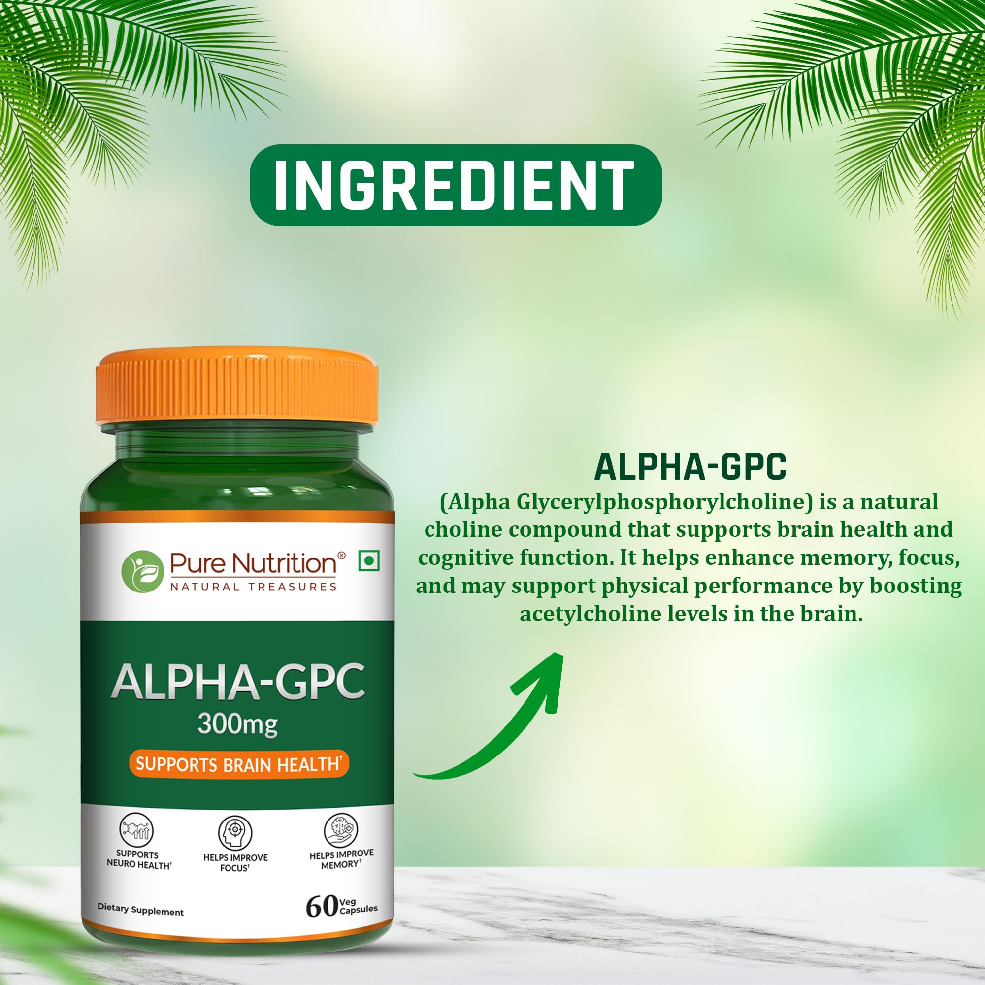 Pure Nutrition Alpha GPC (300mg) – 60 Veg Capsules | Helps to Improve Focus, Mental Clarity & Memory | Brain Health Supplement for Men & Women | Nootropic Formula - Image 4 thumbnail