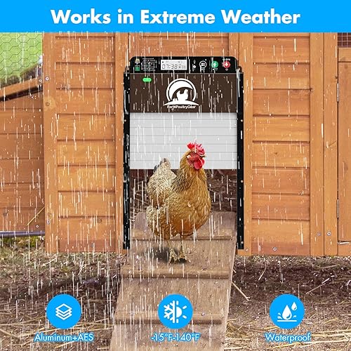Miniatura 6 de FarmPoultryGear Puerta automática de gallinero, abridor automático con temporizador, sensor de luz y control remoto, pantalla LCD, diseño