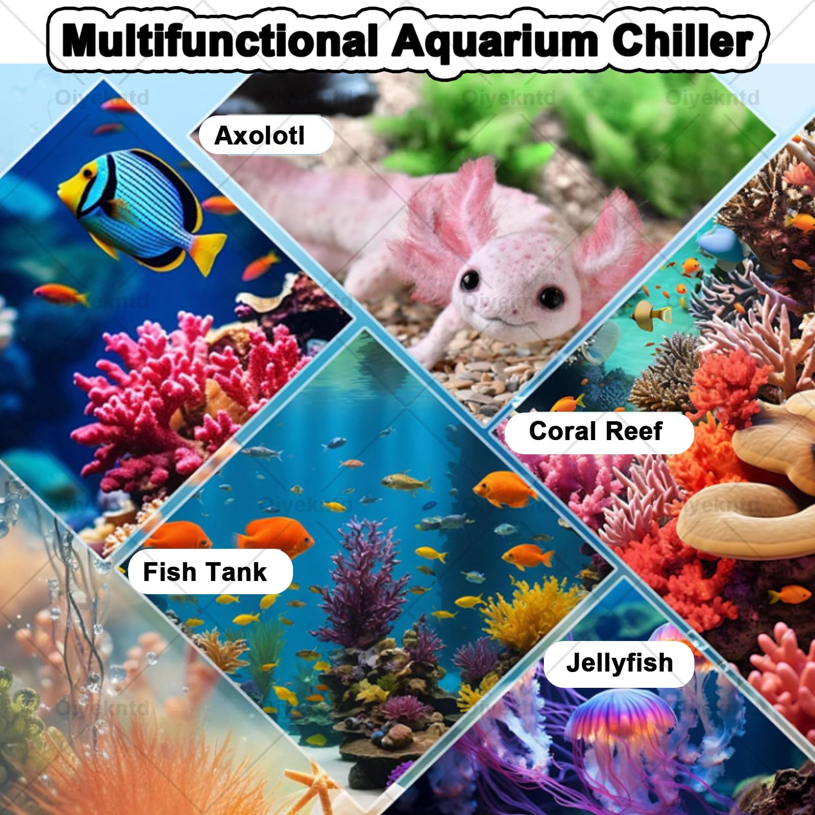 Refrigeratore per acquario, 79 galloni, refrigeratore d'acqua da 1/3 HP per immersioni fredde, sistemas di raffreddamento idroponico per acquario per axolotl, coralli, gamberetti con pompa dell'acqua