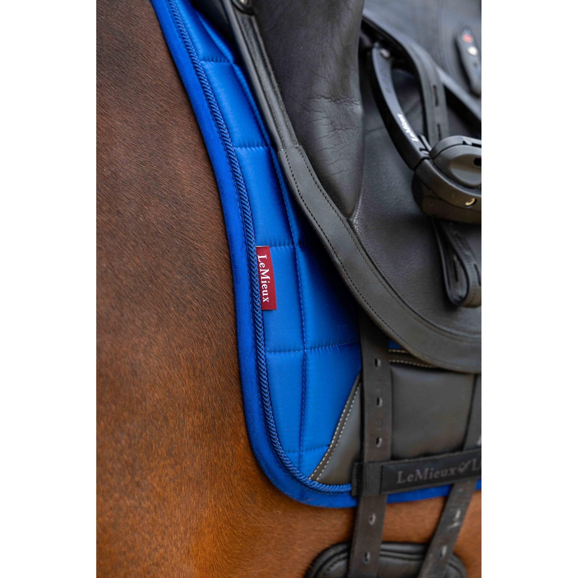 LeMieux Loire Classic - Alforja cuadrada para doma - Azul Benetton