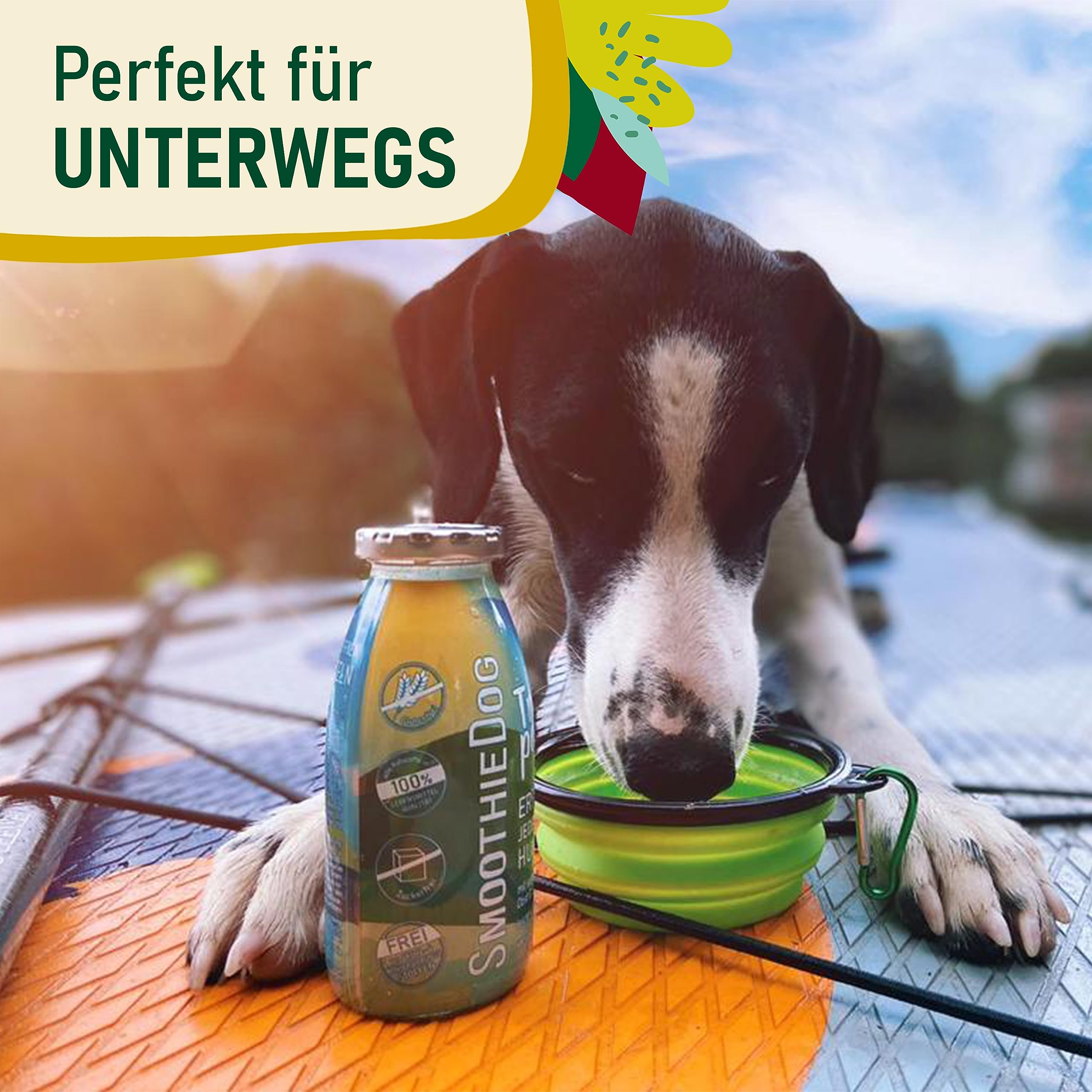 12erPack SmoothieDog Trinkpause mit Ente je 250ml Hundesmoothie Zuckerfrei/Glutenfrei