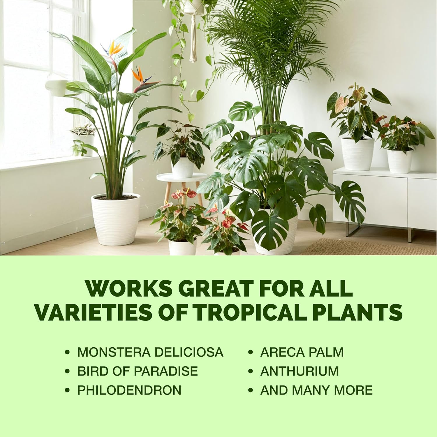Tropical Plant Fertilizer – Liquid Plant Food for Bigger Leaves, Lush Growth & Stronger Roots, 1 Gallon