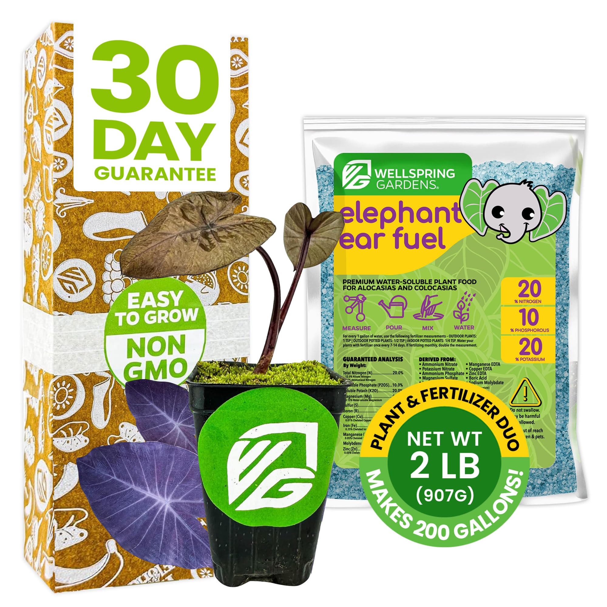 Black Magic Elephant Ear Live Plant & Elephant Ear Fuel Fertilizer (2lb) Bundle by Wellspring Gardens - Ideal for Indoor Houseplant & Outdoor Garden Planting - Formulated Nutrients for Vibrant Growth