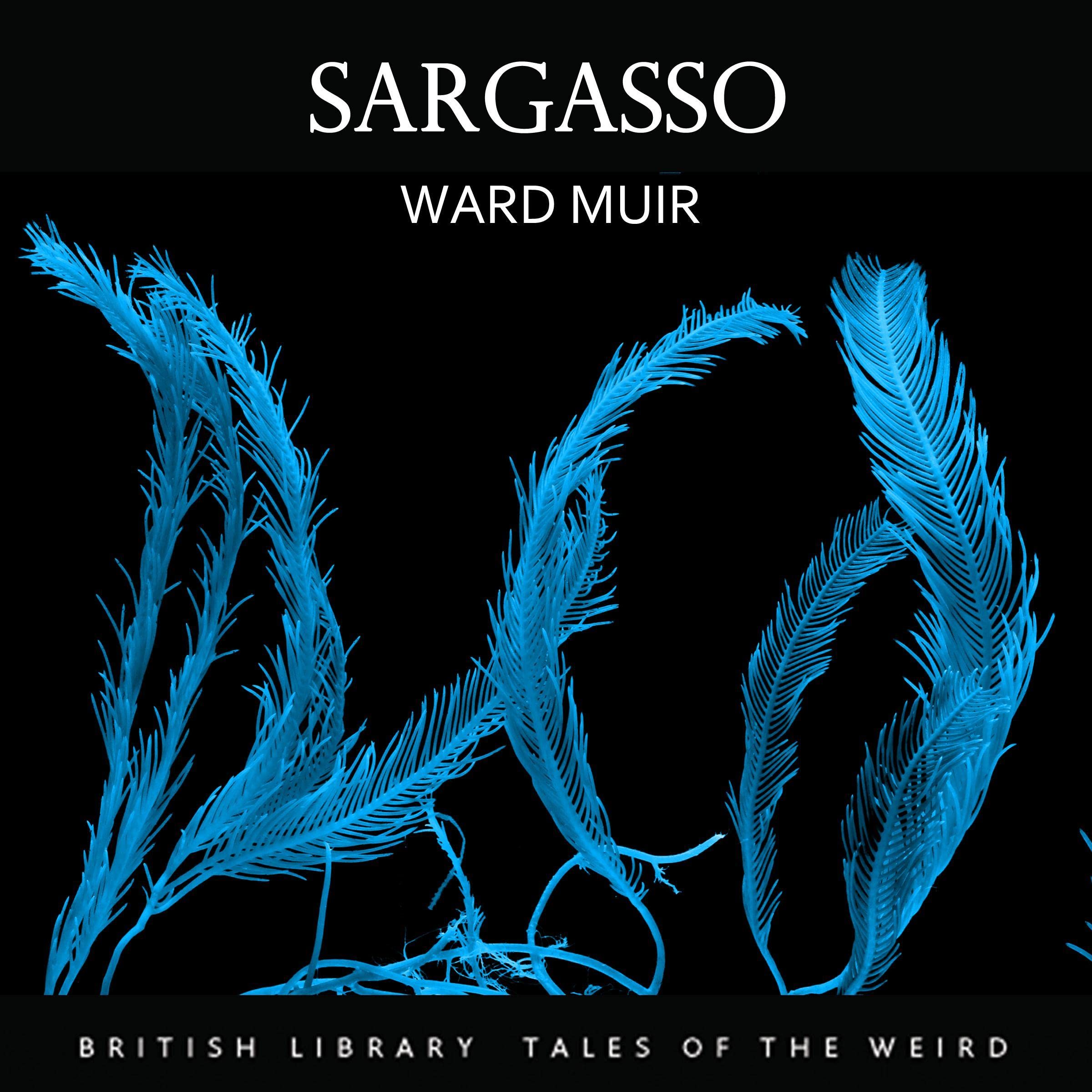 Cover art for Sargasso