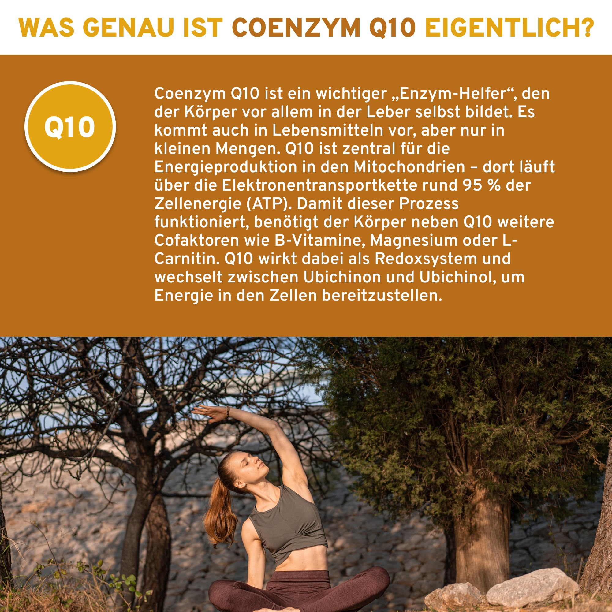 QIDOSHA® Kaneka Ubiquinol, 90 Kapseln, 100mg Ubiquinol je Kapsel, vegane Ubichinol Softgel-Kapseln, Coenzym Q10 flüssig, eingebettet in Olivenöl für optimale Bioverfügbarkeit