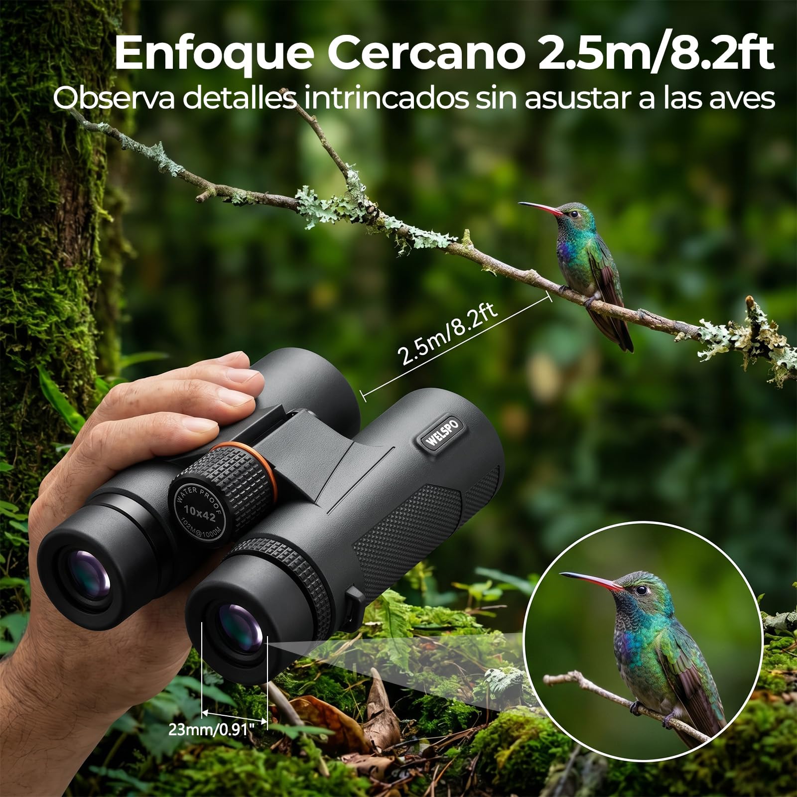 WELSPO Prismáticos 10x42 con Vidrio ED y Prisma BAK4, FMC, IPX7, 2.5m | Imagen Nítida y Brillante en Condiciones de Poca Luz, para Observación de Aves, Senderismo, Caza y Deportes al Aire Libre