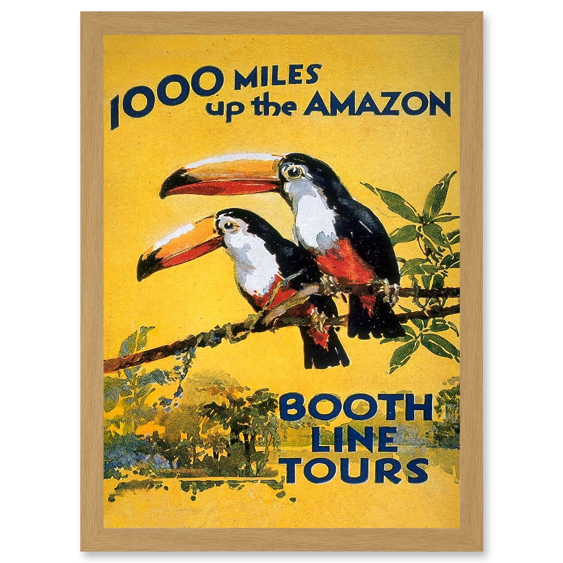 Wee Blue Coo Amazon Toucan River Brazil South America Jungle Rain Forest Vintage Travel Advert Artwork Framed Wall Art Print A4