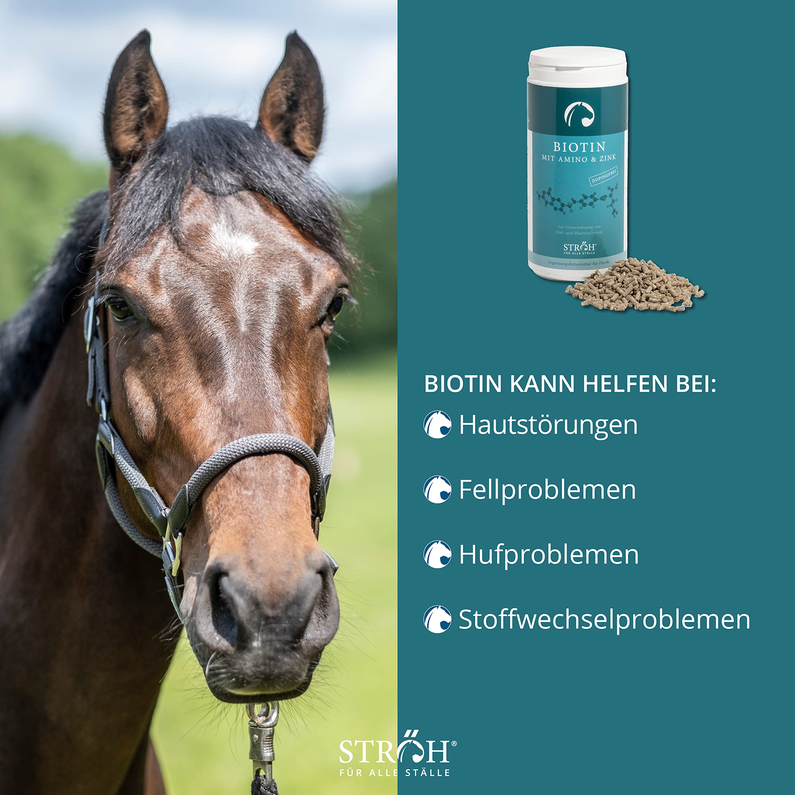 Champ Biotin Für Pferde, 750 G (30,65 EUR/kg