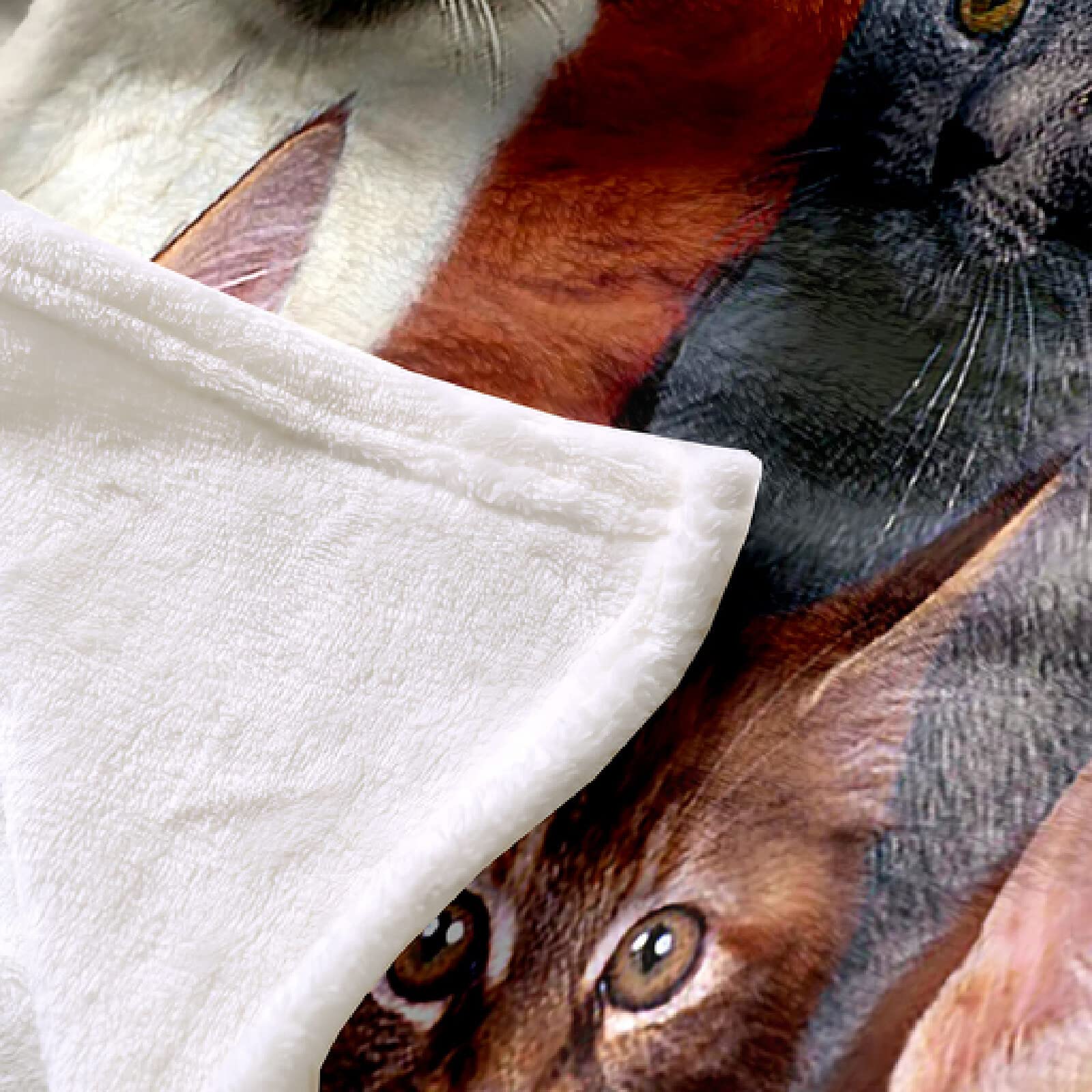 XADITON Couverture Plaid Canape 180X220Cm Impression De Chat Animal Imprimée Motif, Couverture en Flanelle Épaisse Douce Et Confortable, Couverture Lit 2 Personnes Chaude pour Adulte Et Enfant