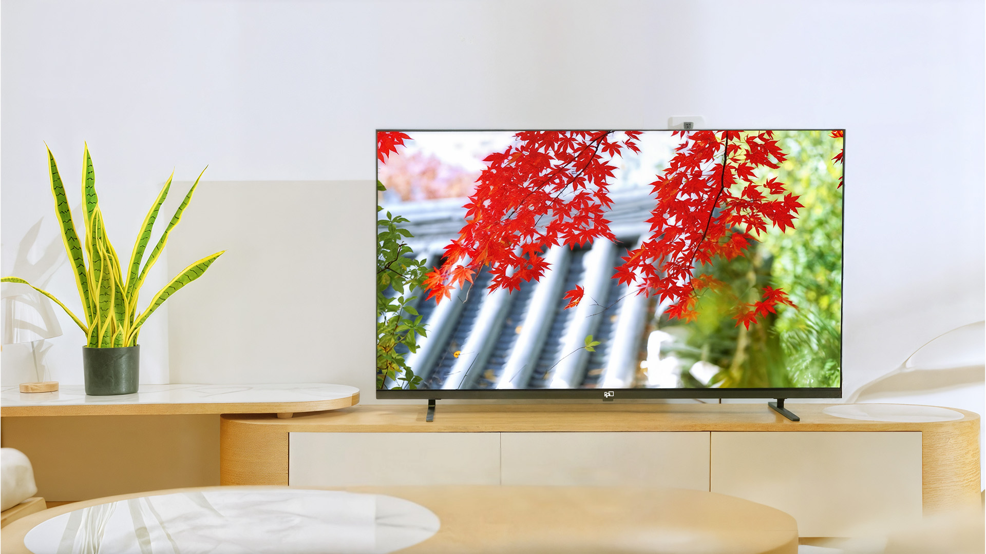 Amazon | FPD チューナーレステレビ 4K Google TV ネット動画 スマート 