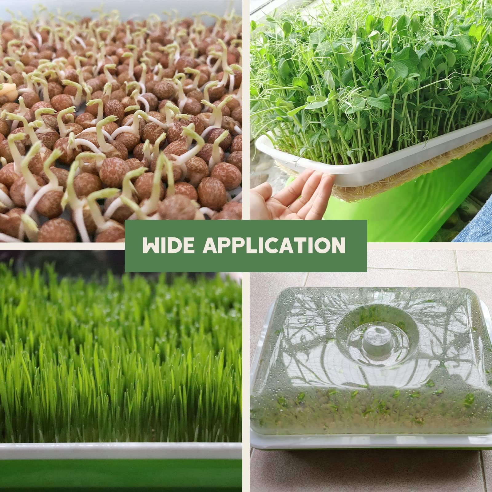 MYFULLY Vassoio per germogliare semi con coperchio, confezione da 3 pezzi, vassoio senza suolo per la germinazione dei semi, kit per la germinazione dei semi di erba di grano sani e vassoi per la