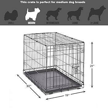 Amazon.com: New World Single Door Folding Metal 30-Inch Dog