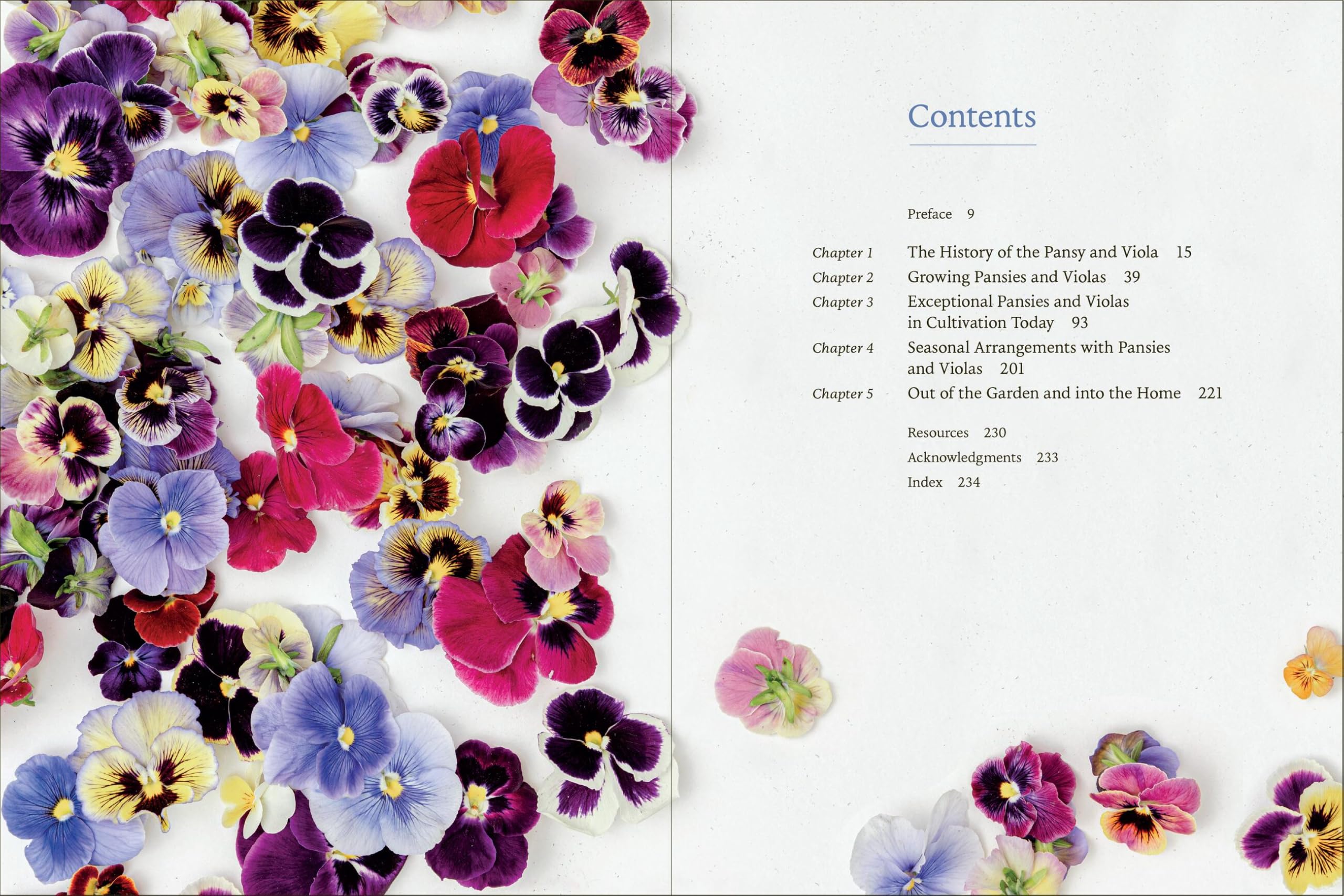 Pansies: How to Grow, Reimagine, and Create Beauty with Pansies and Violas
