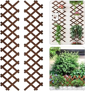 10 Outdoor Patio Trellis Ideas for Shade and Vertical Style 98 2 Pcs Expandable Garden Trellis,Wood Lattice Fence Panels for Outside, T...