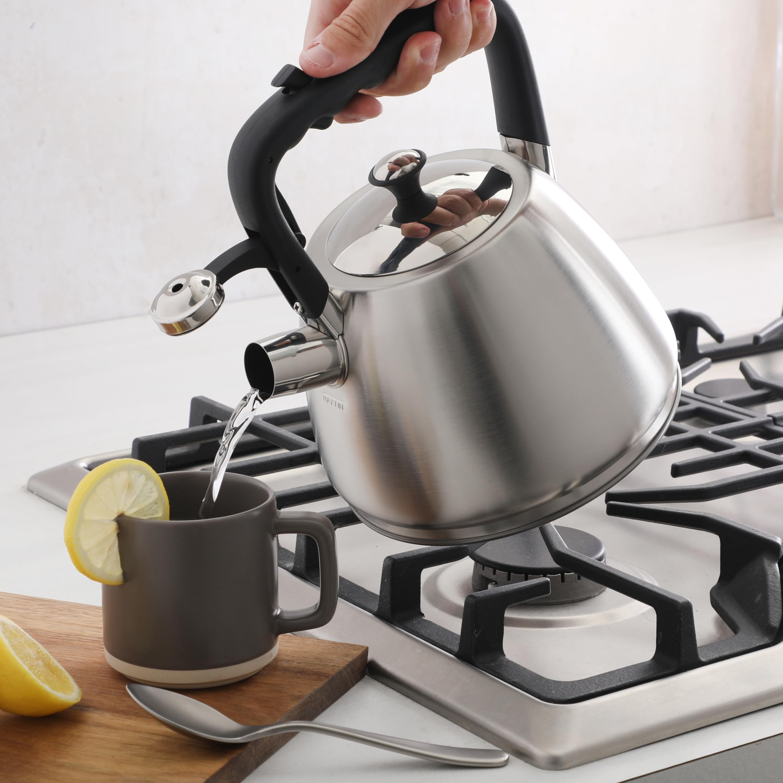 Amazon.com: Mr. Coffee Armidale 2.5QT Whistling Tea Kettle, Large