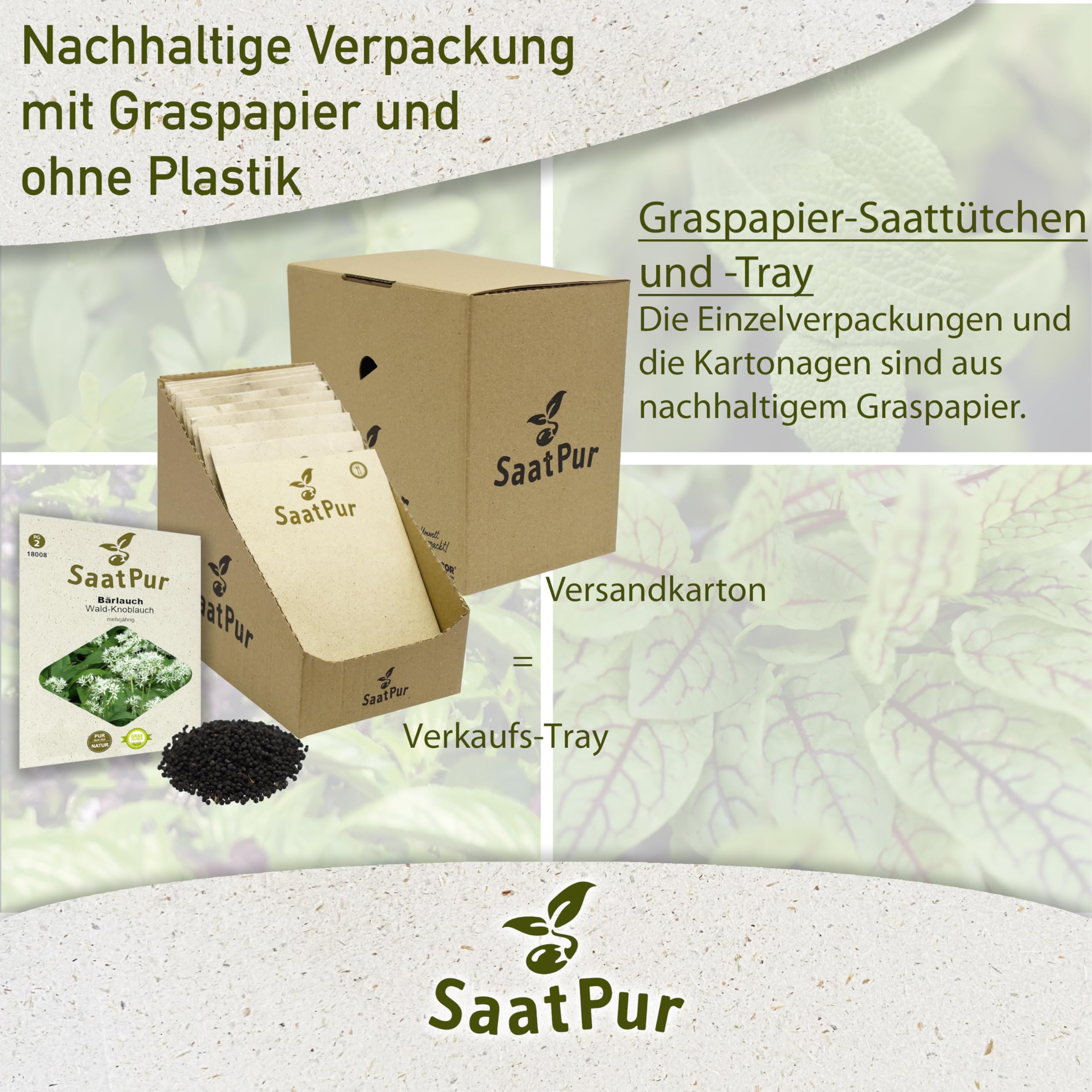 SaatPur Bärlauch Samen - Kleines Tray mit 25 Portionstüten für je ca. 50 Pflanzen