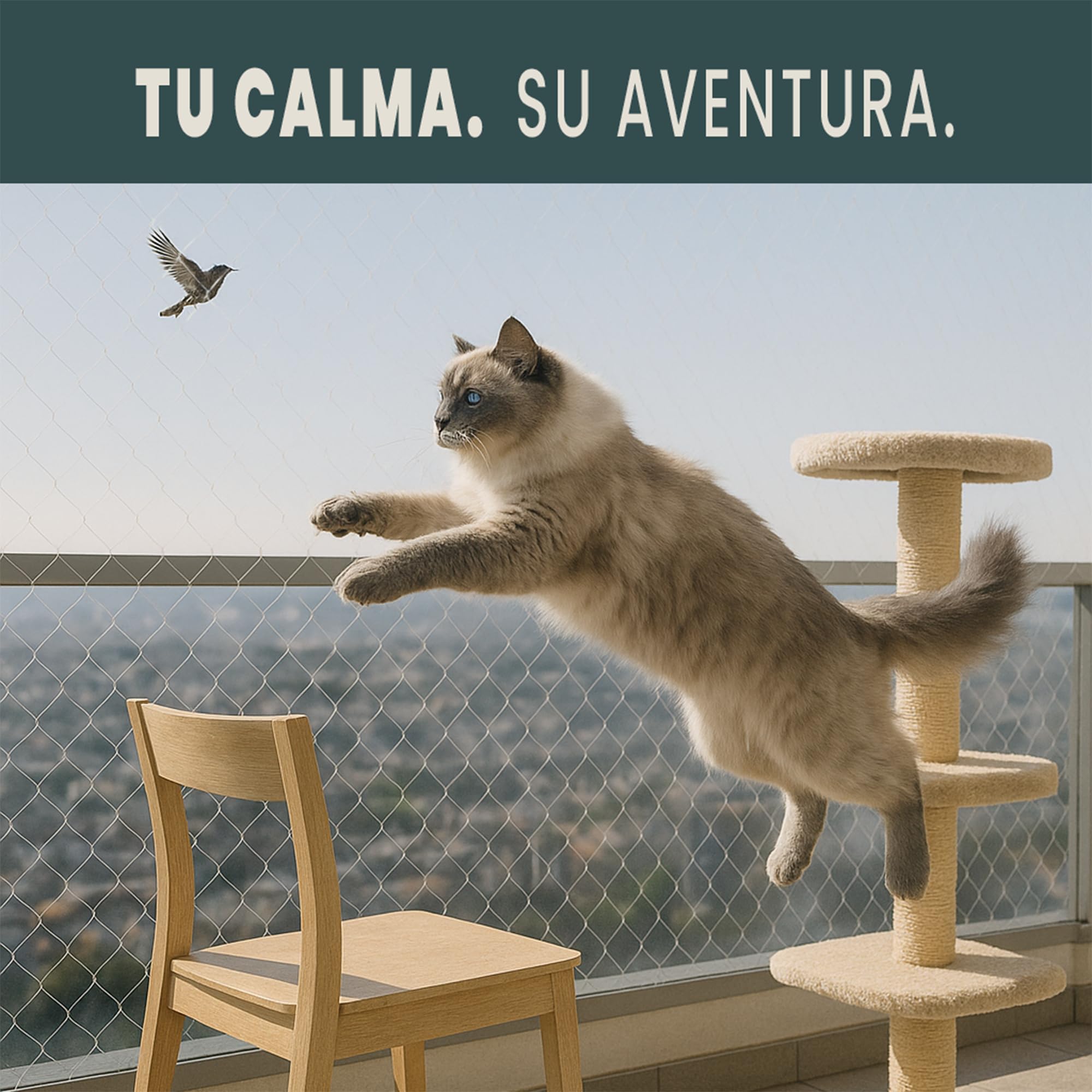 Red Para Gatos Terraza 8x3m Seguridad Transparente Ideal Balcon Ventana Tragaluces Proteccion Exterior Interior Malla Antidesgarro Duradera Kit Completo Montaje Cuerda Ganchos Bridas Juguete Regalo