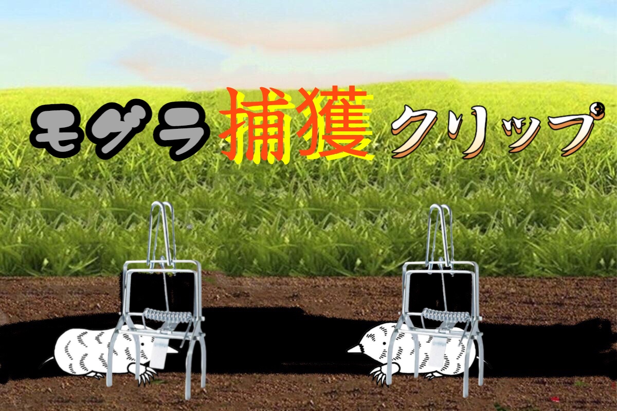 Amazon | ONESORA モグラ捕獲 モグラ駆除 モグラクリップ モグラ