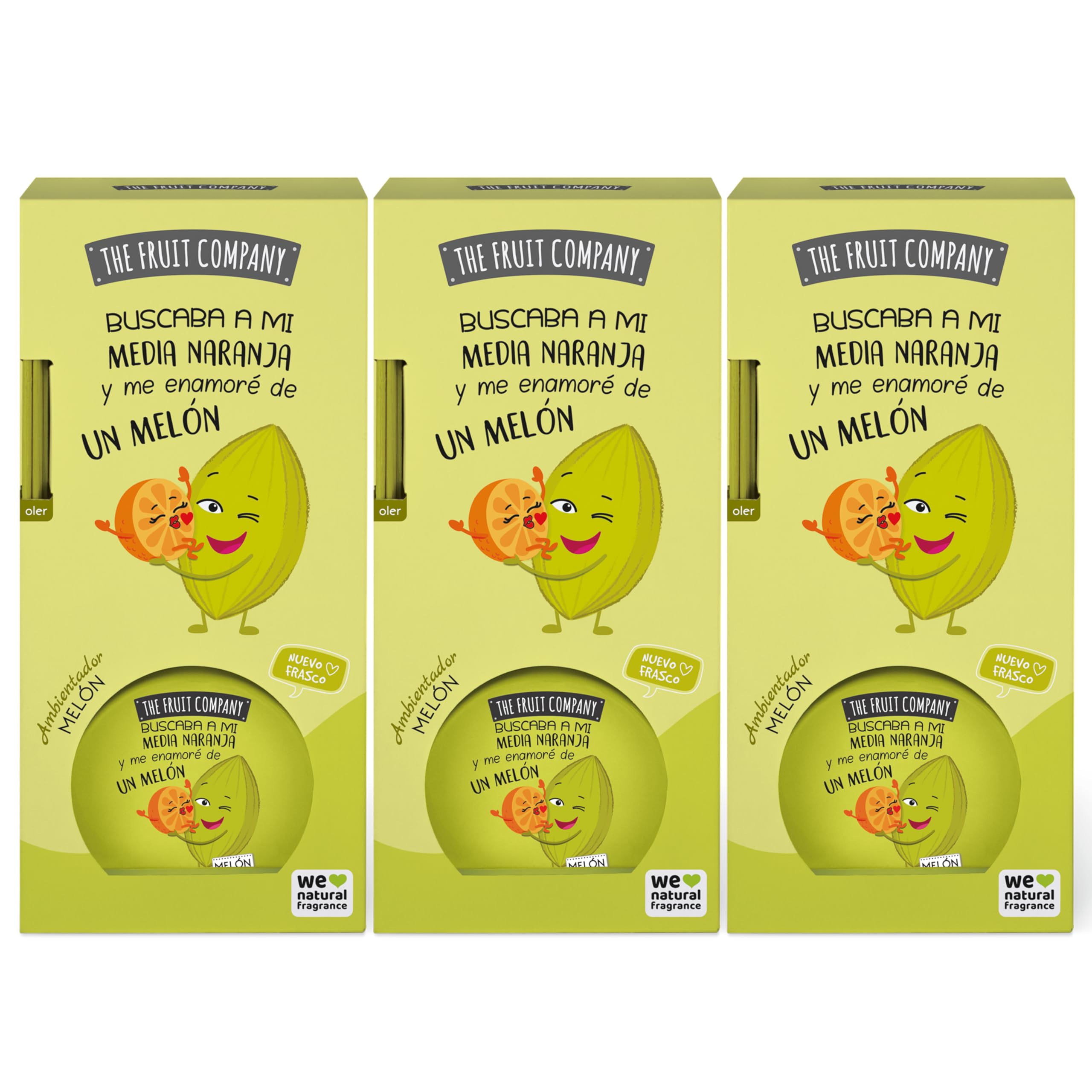 The Fruit Company Mikado Ambientador, MELÓN, 40 ml
