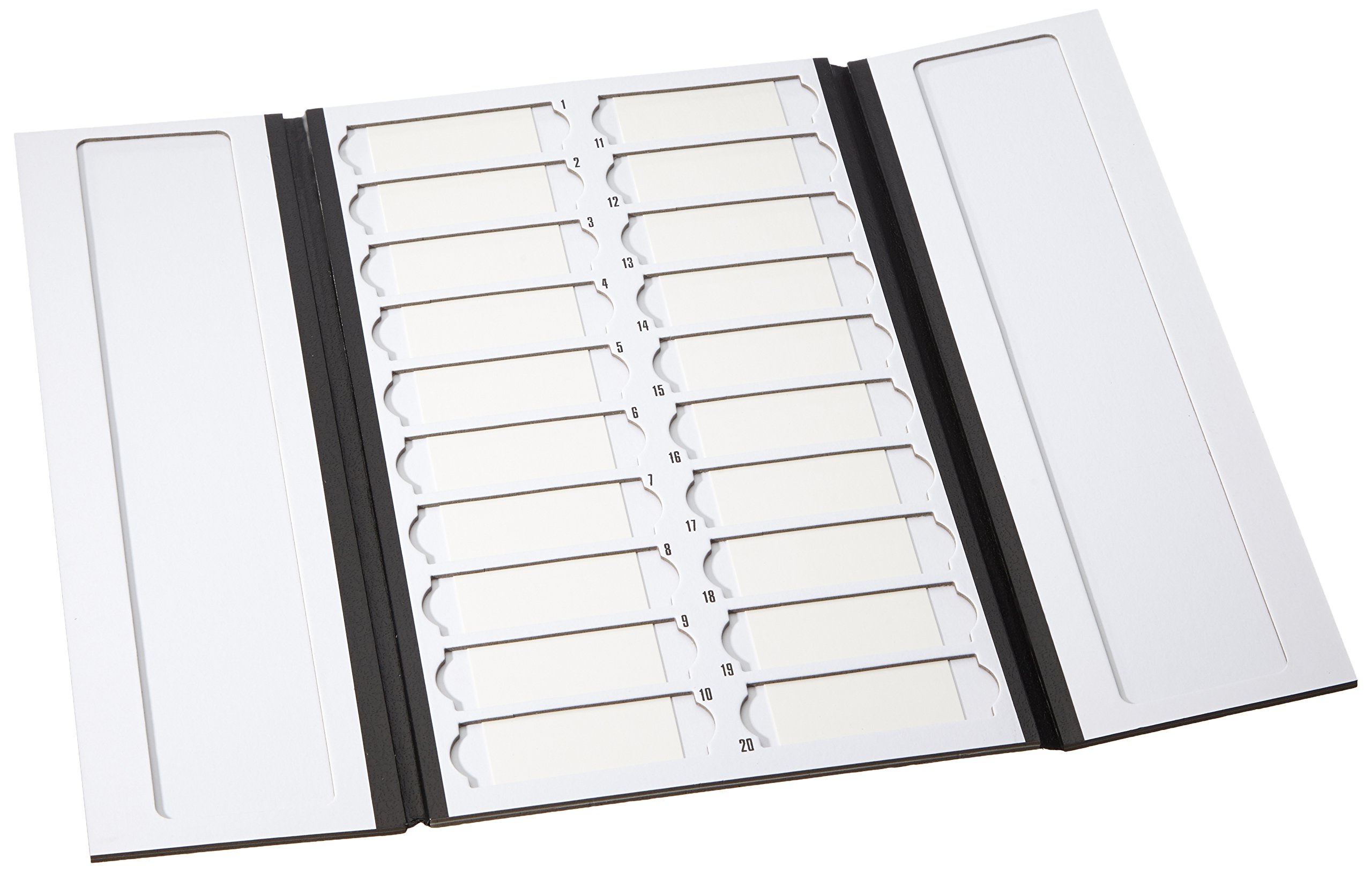 Heathrow Scientific HD9902 Präparatemappe für 20 Objektträger, 208 mm Länge x 341 mm Breite x 9 mm Höhe, Schwarz