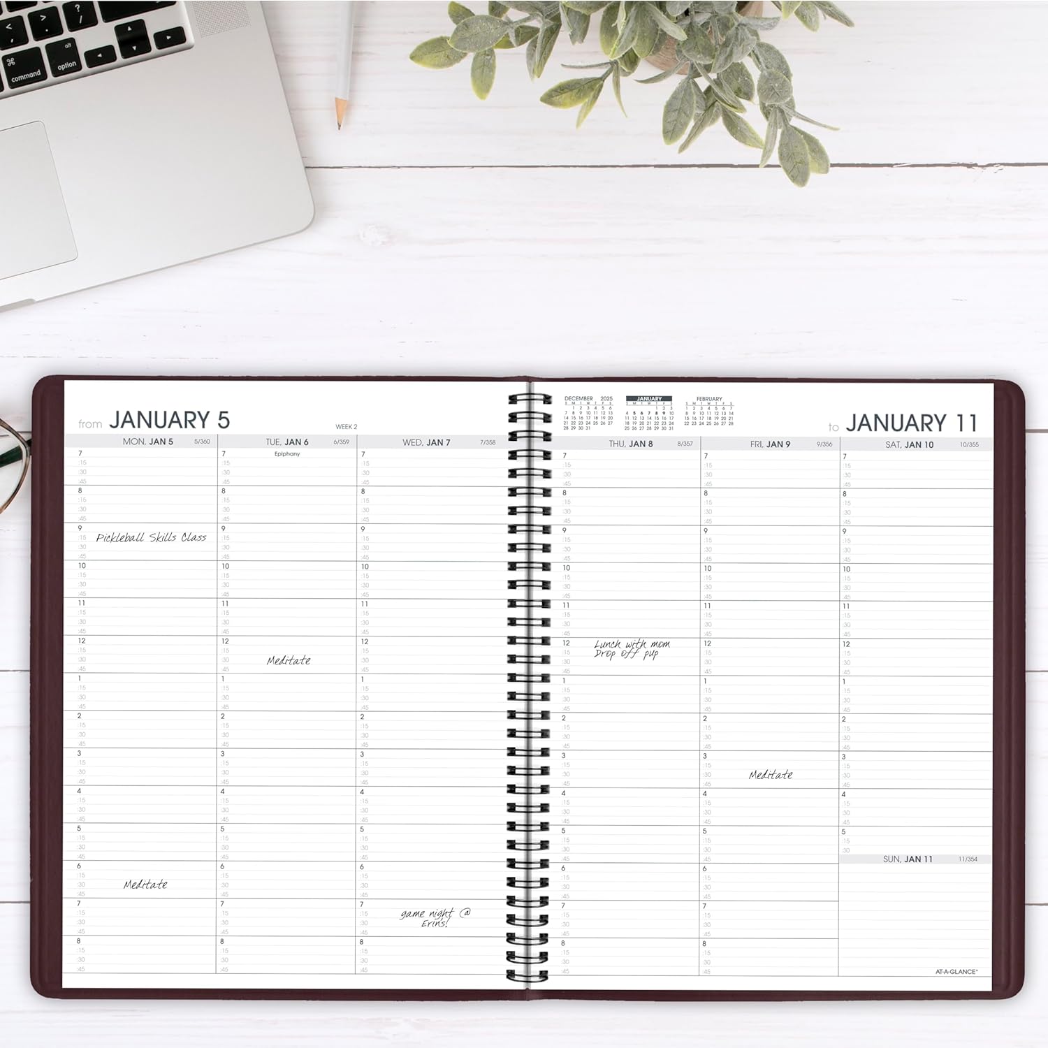 AT-A-GLANCE 2026 Appointment Book Planner, Weekly, 8-1/4" x 11", Large, Winestone (709505026)