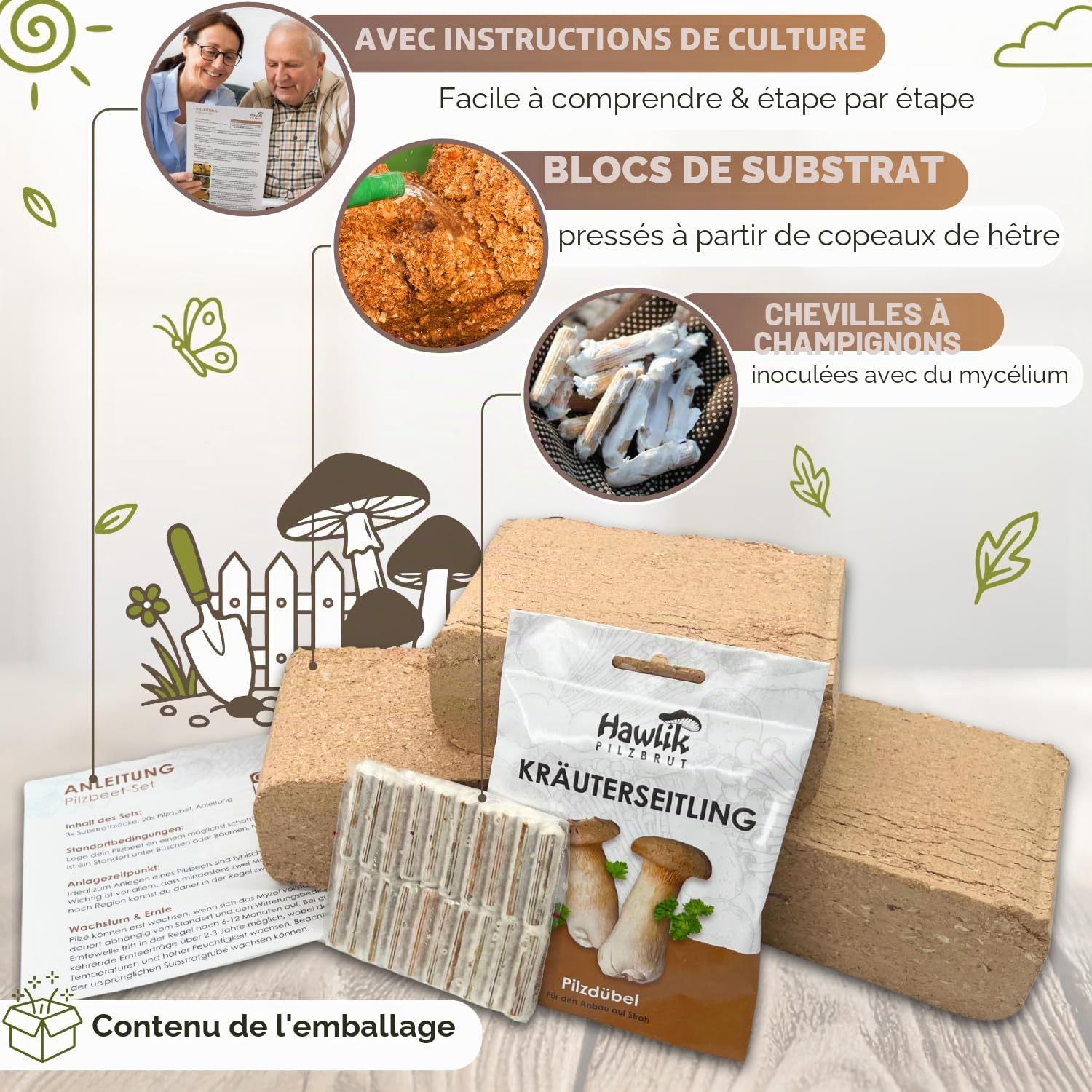 Hawlik Pilzbrut - Kit de champignon pleurote de panicaut - Facile à cultiver soi-même dans votre jardin - kit champignons à faire pousser - idéal pour le jardin