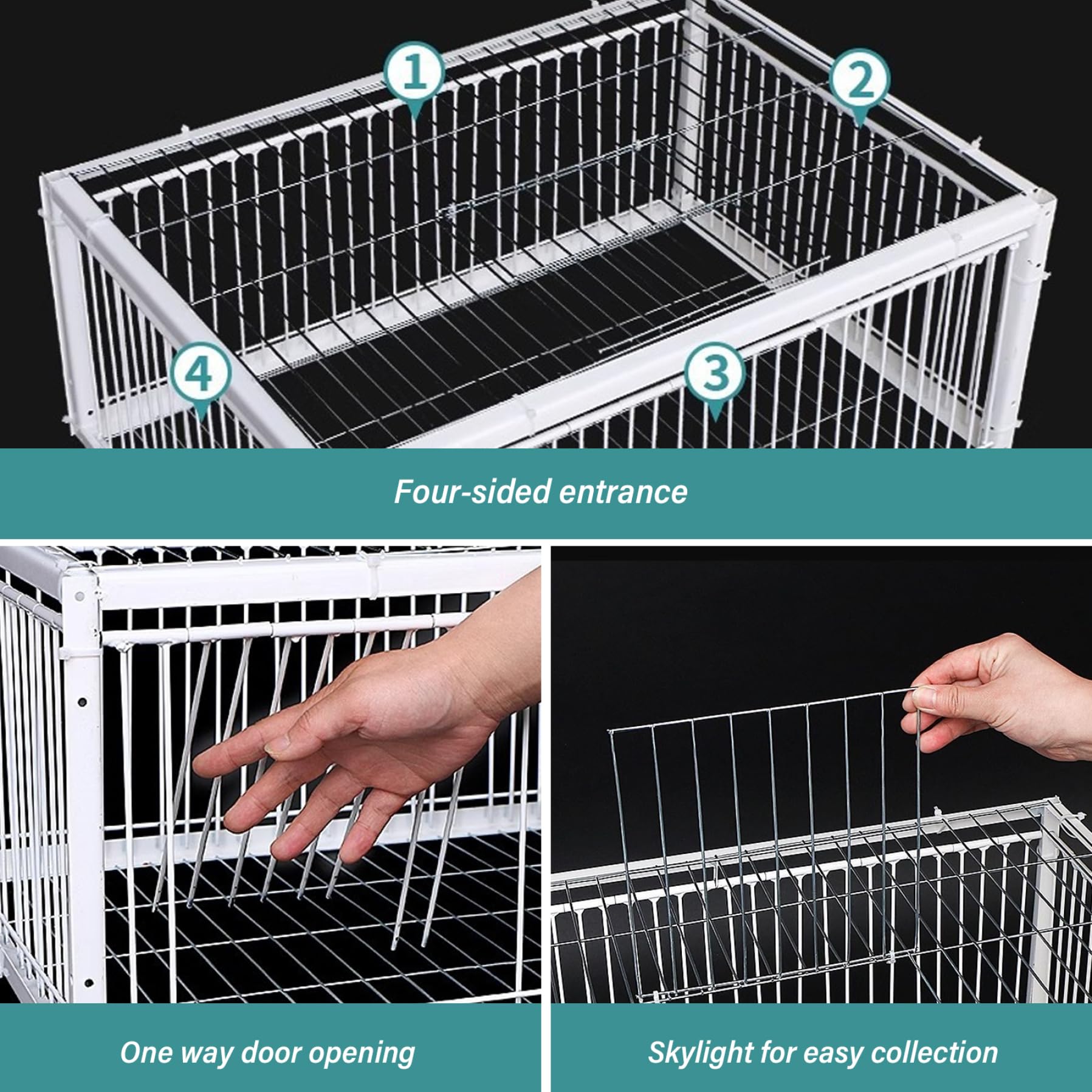 Trampa para Palomas, Jaula para pájaros de 16x12x10 con Cuatro entradas unidireccionales, Trampa para Palomas con tragaluz para Granjas, graneros, Jardines y cría de