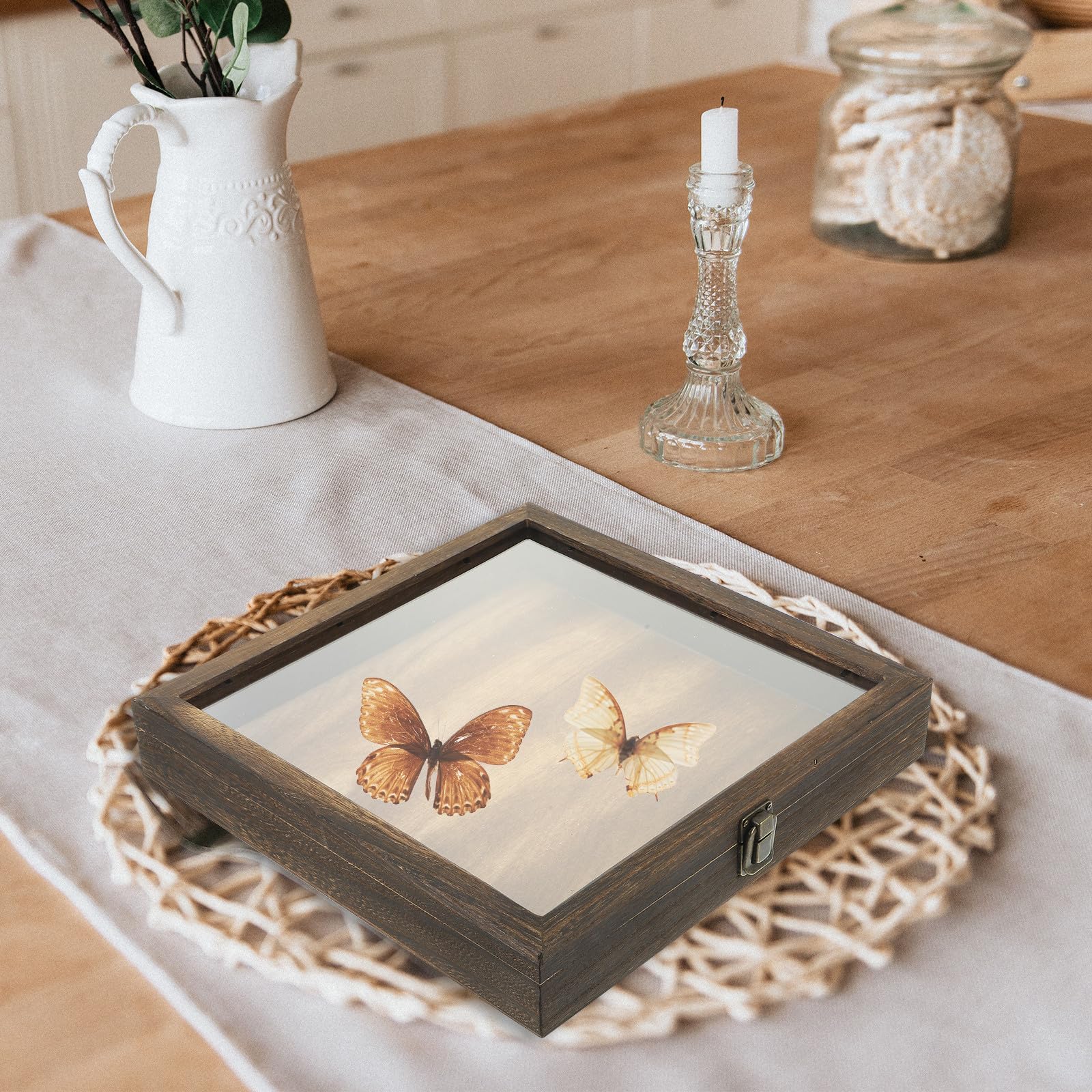 INOOMP Caja de Almacenamiento de Madera Almohadilla EVA y Tapa Transparente, Estuche para Exhibición de Muestras de Flores Secas y Especímenes en Vitrinas Portátiles Estilo