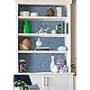 Product Photo 5