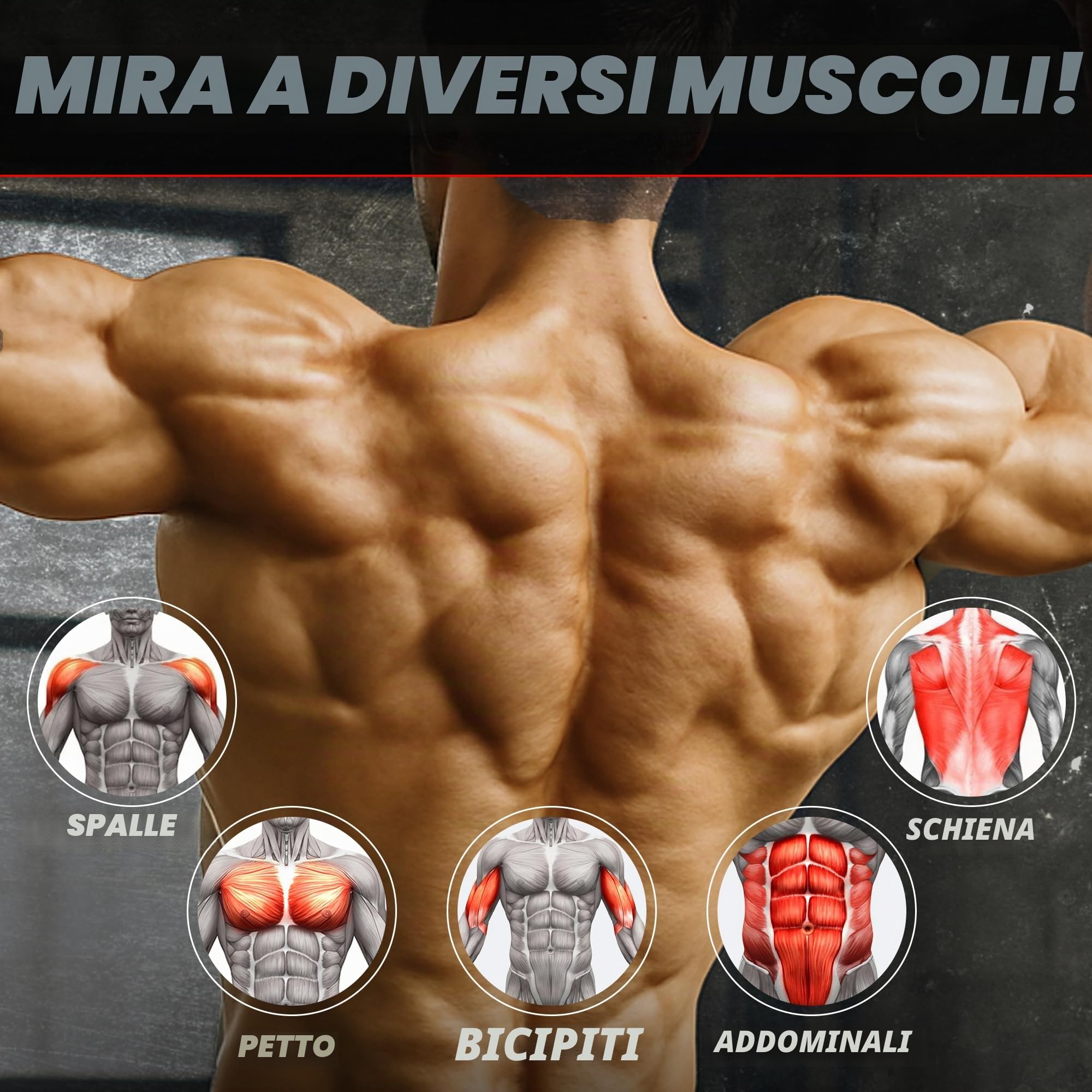 Bande Di Assistenza Trazioni – Elastico Regolabile Per Trazioni Alla Sbarra, Set Pull Up Band Per Calisthenics e Forza a Casa o Palestra, Aiuto Progressivo Per Muscle Up e Dip