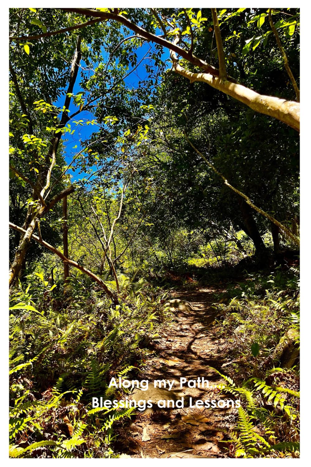 Along my Path: Lessons and Blessings