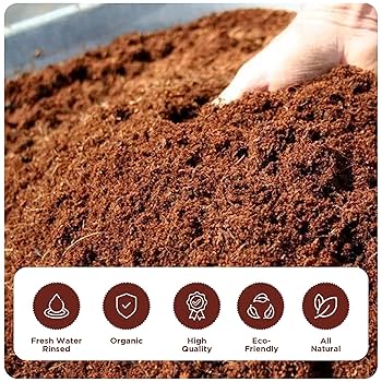 Coco Amazon.com : ZeeDix Compressed Coco Coir Brick for Plants