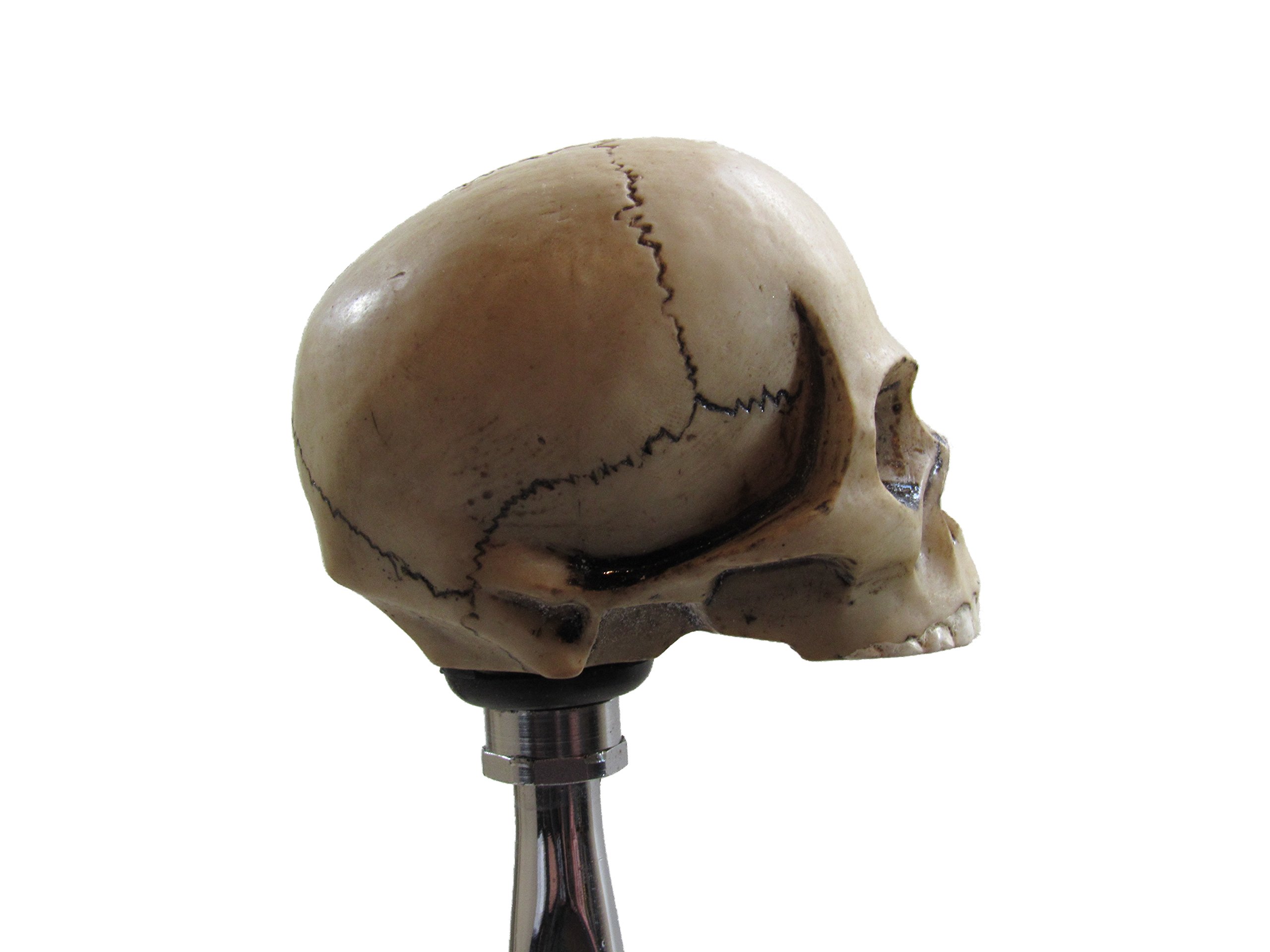 Amazon.com: Kool Collectibles No Jaw Skull Head Shifter