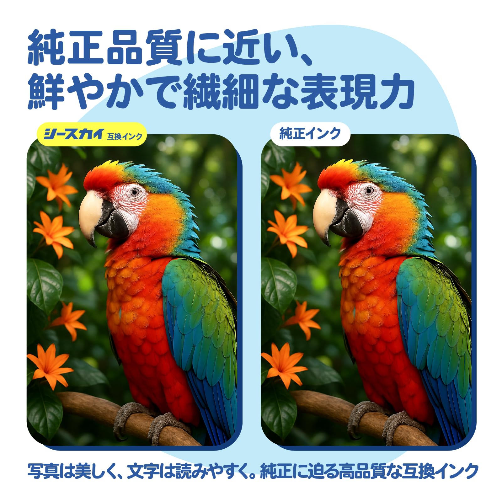Amazon.co.jp: 【SEASKY】BC-345XL ブラック BC-346XL 3色カラー 染料
