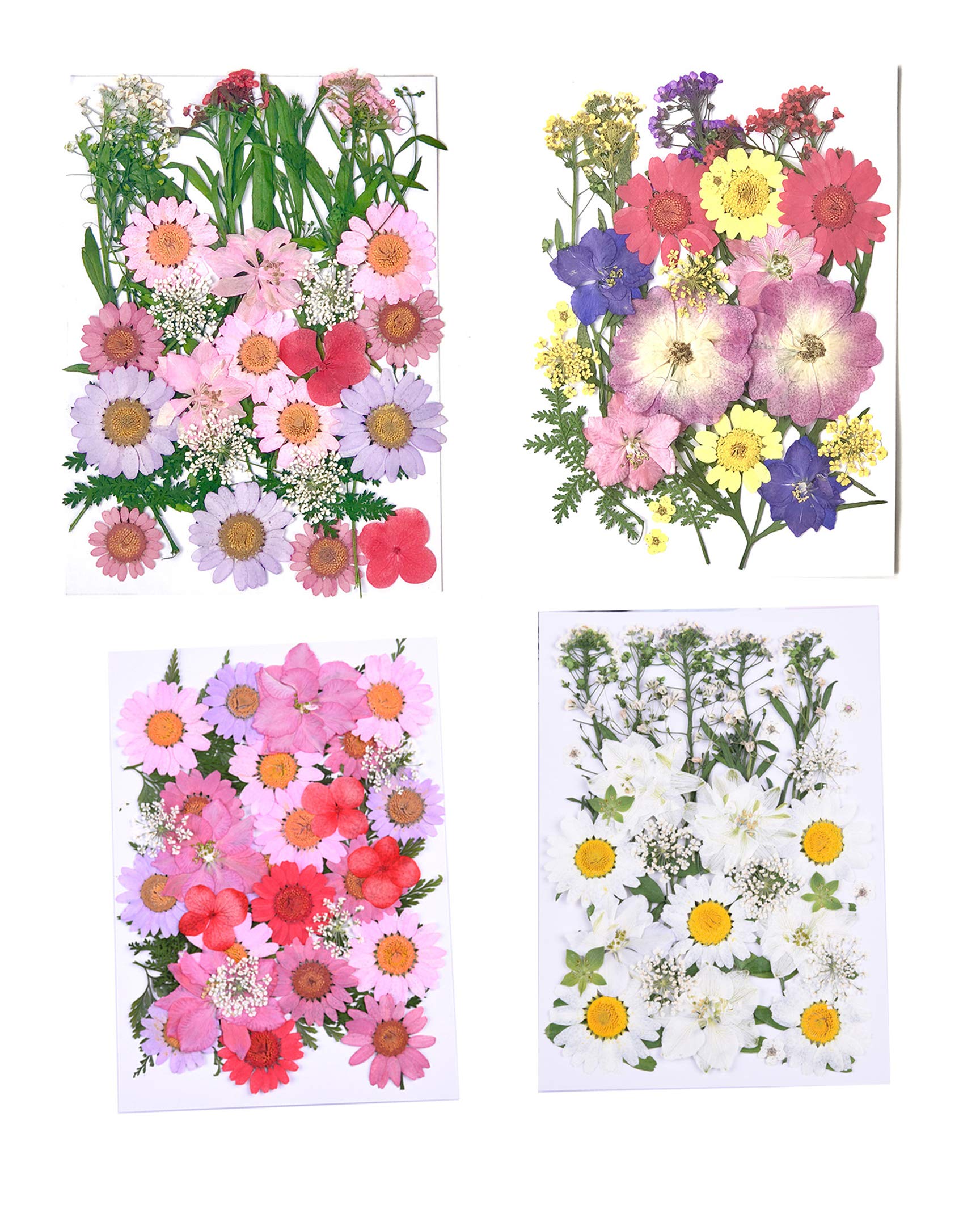 押し花 携帯灰皿 推す