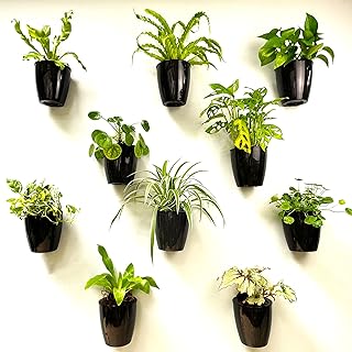 Wall Planters for Indoor Plants - 10 Pack, 5 Inch Black Self Watering Wall Planter, Wall Mounted Planters Eco Wall Planter System Living Hanging Wall Planters Trendy Live Wall Garden Indoor for Herb