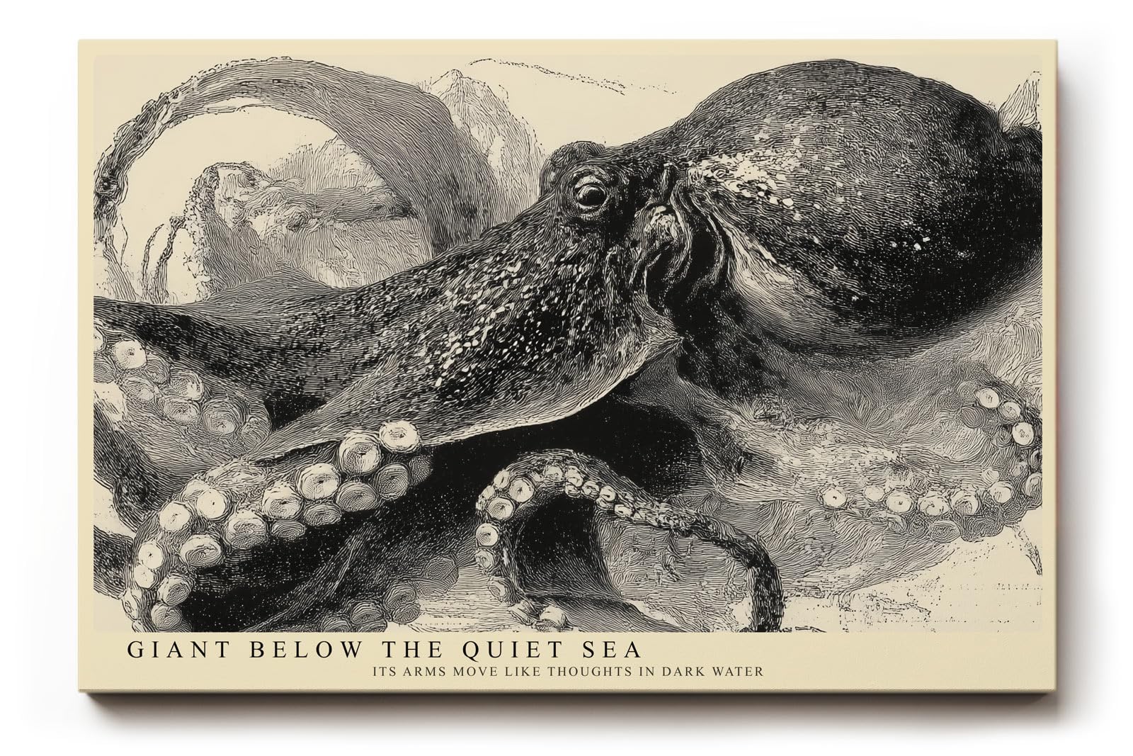 Paul Sinus Wandbild 150x100cm Oktopus Illustration Meereskunst Schwarz Weiss Vintage Naturstudie
