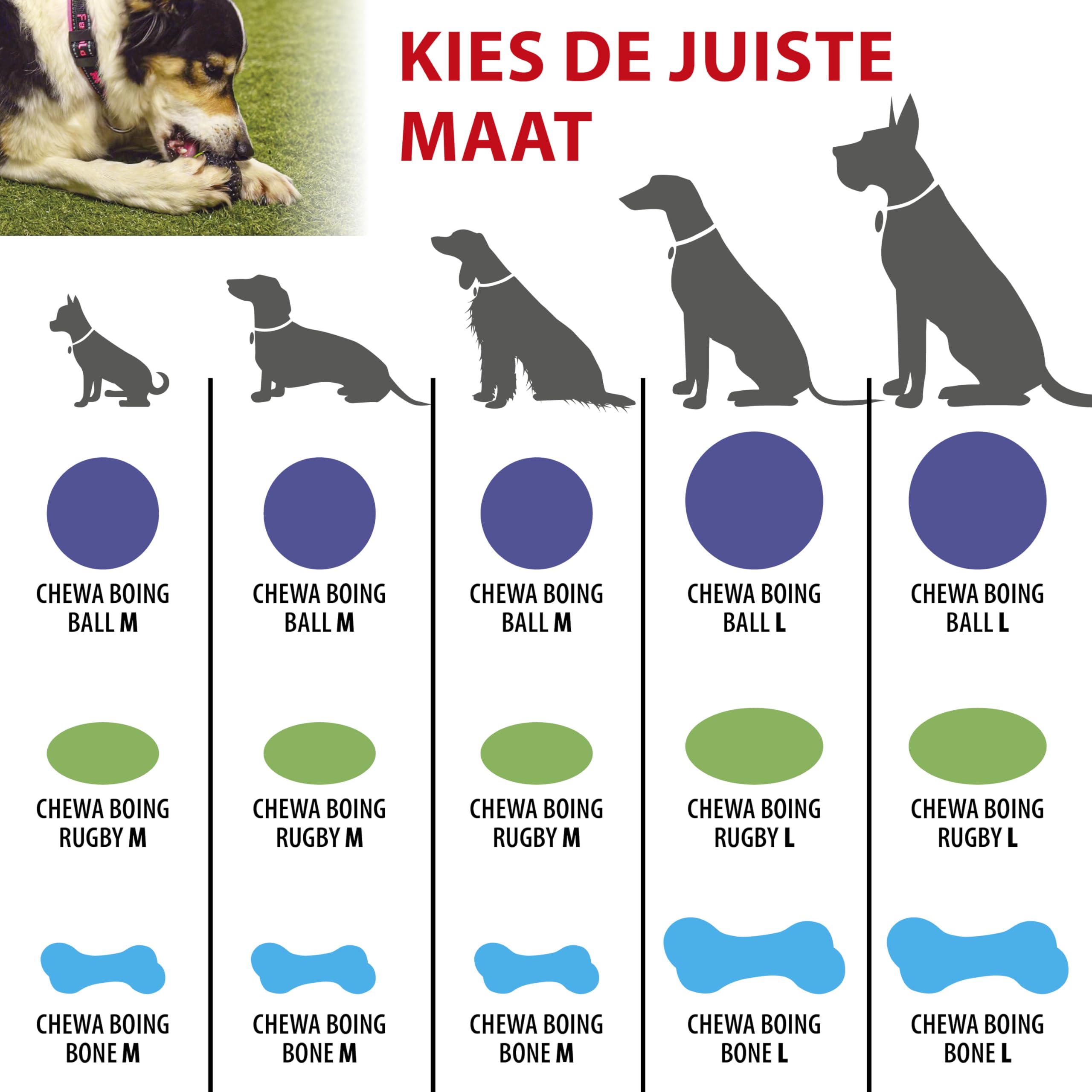 Ferplast Chewa Boing Rugby Hondenbal – Stuiterend En Drijvend – 7,5 Cm Diameter – Bijtbestendig – Bevordert Mondhygiëne – Voor Grote Honden – Zwart