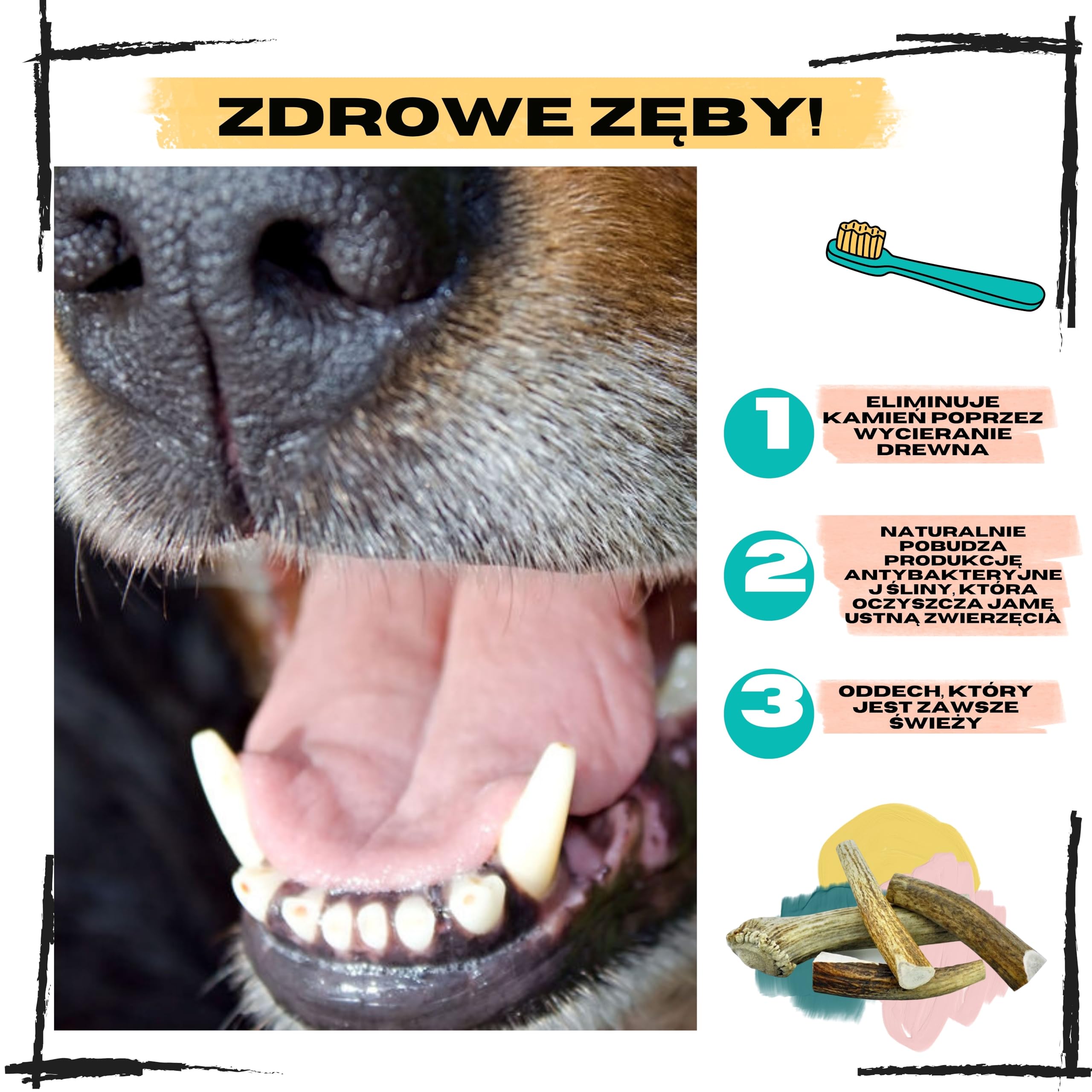 Poroże jelenia dla psa, Rozmiar XS Psy Miniaturowe i Szczenięta, 2 szt | Usuwa kamień nazębny, Źródło minerałów, 100% Naturalny gryzak, Ultra wytrzymały, Bez konserwantów