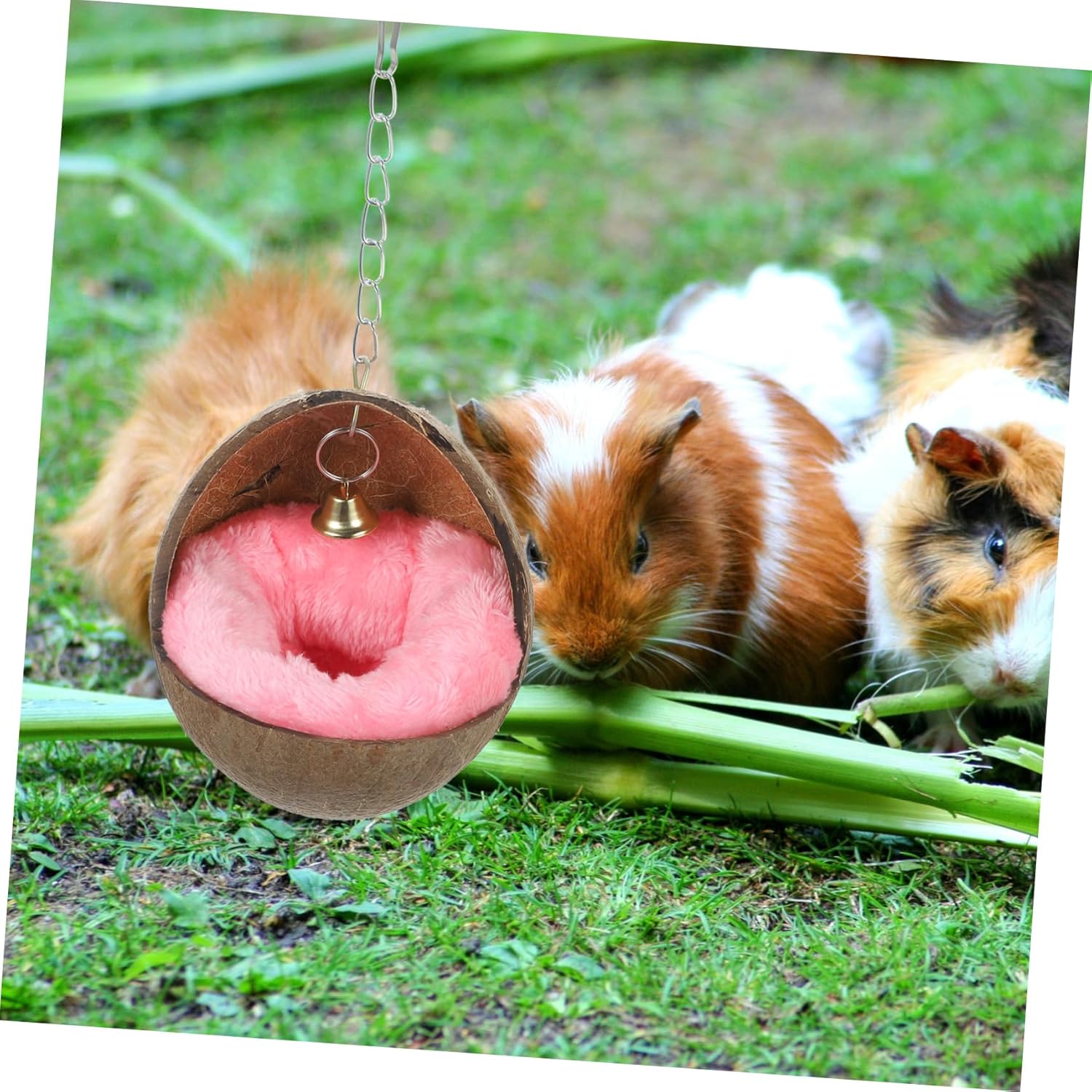POPETPOP Coconut Shell Bird House-Hamster Coconut Hideaway, Nest with Soft Mat for a Hamster,Rat,Bird Toys(Random Color)