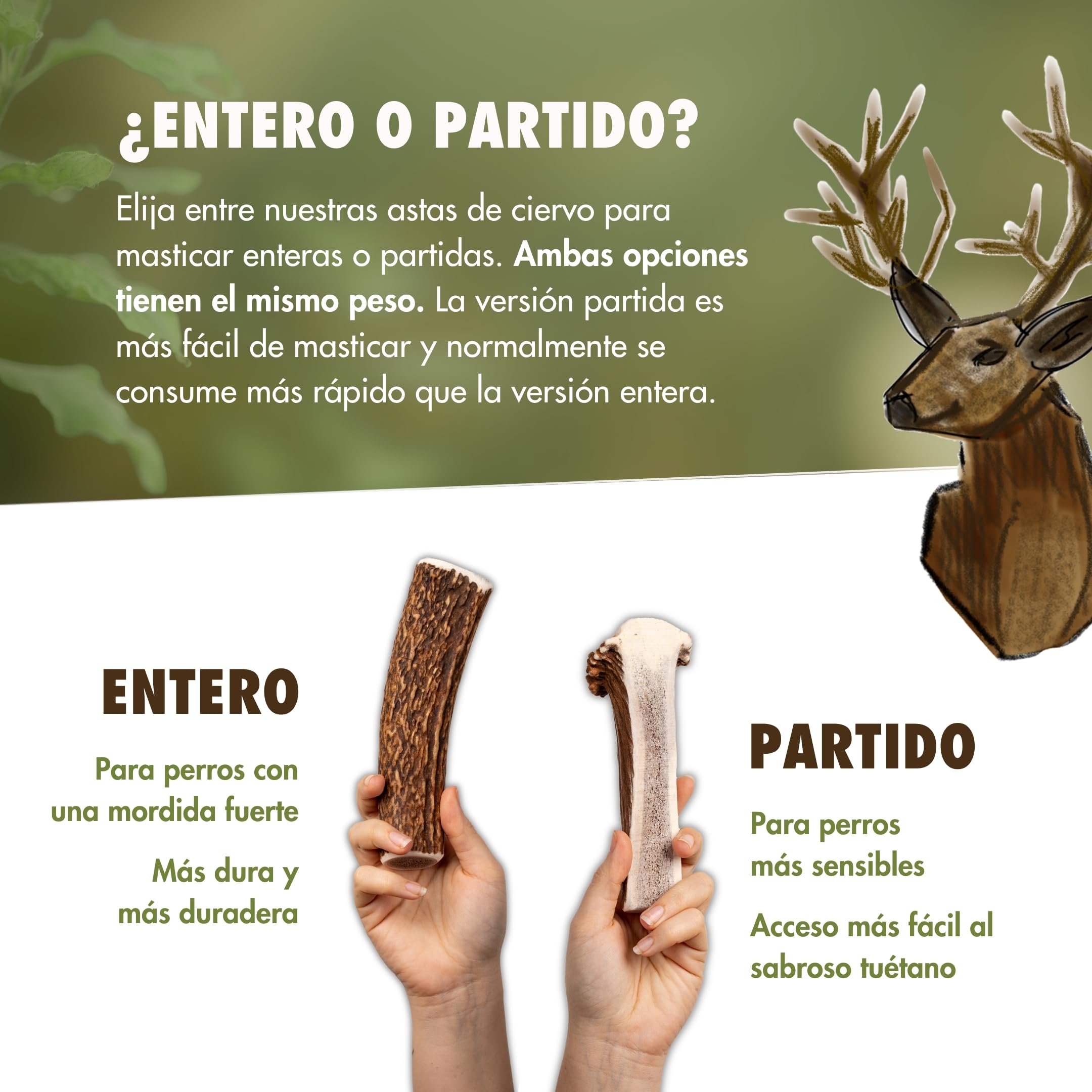 FOURLEGS® Asta Perro Natural Hecha de Asta de Ciervo 100% - con Minerales, Juguete Perro, Sabor a Venado, Huesos para Perros – Mordedor Perro – Tamaño XXL Mitad, Paquete de Ventajas (Pack de 5)