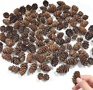 200 Mini Pommes de Pin Naturelles, Décorations de cônes de Pin de Noël, Multi Taille Naturelles Pommes de Pin pour Noël Thanksgiving Déco Loisirs Créatifs