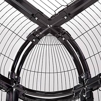 超美品✨Aviary Grande celebriducks Amazon.com: CelebriDucks - Aviary Grande - Floating Rubber