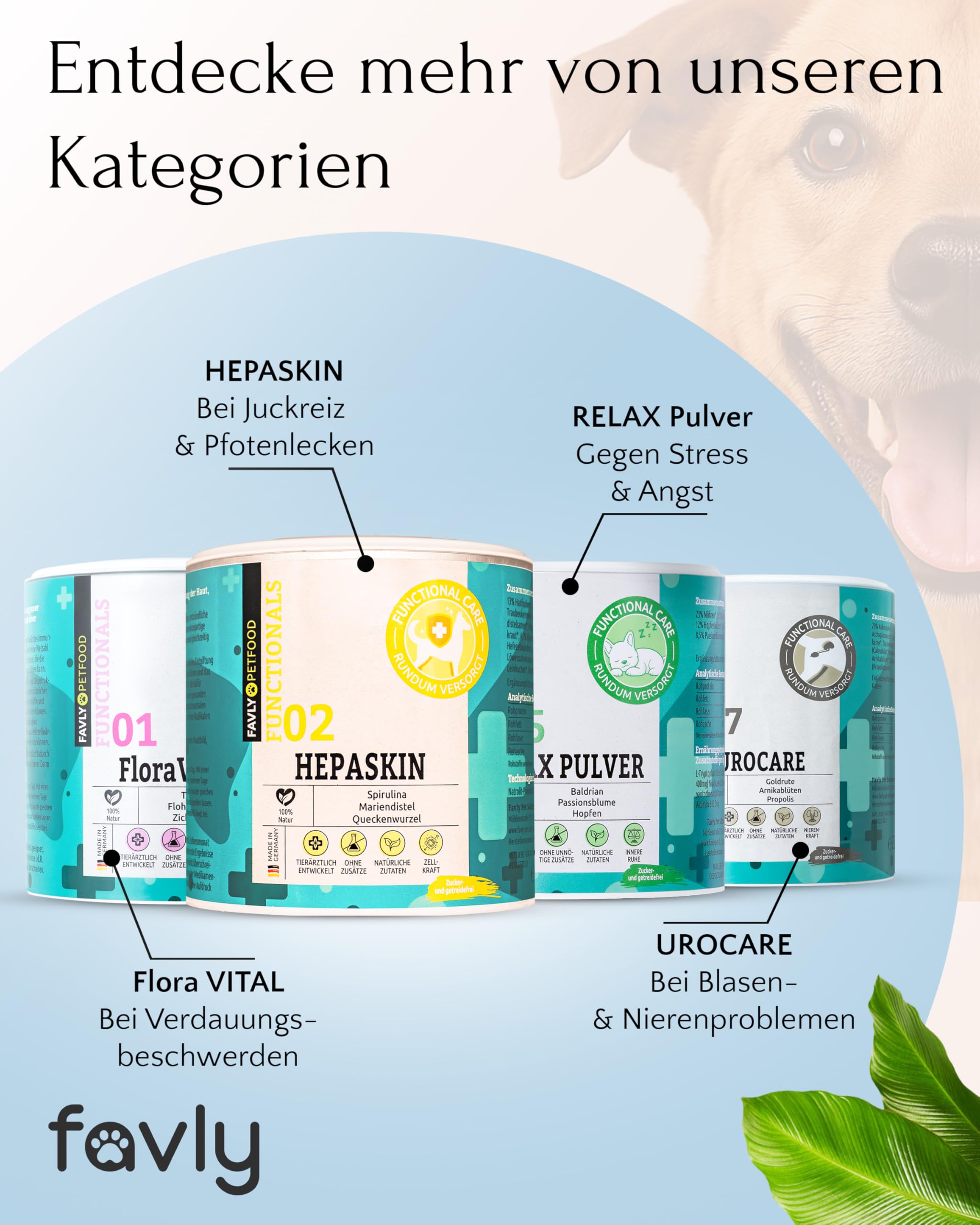 FAVLY – DENTAL polvere per la cura dei denti per cani, 250 g, mangime complementare per denti in polvere per cani contro l'alito e la placca dentale, con clorella biologica e prezzemolo, senza cereali