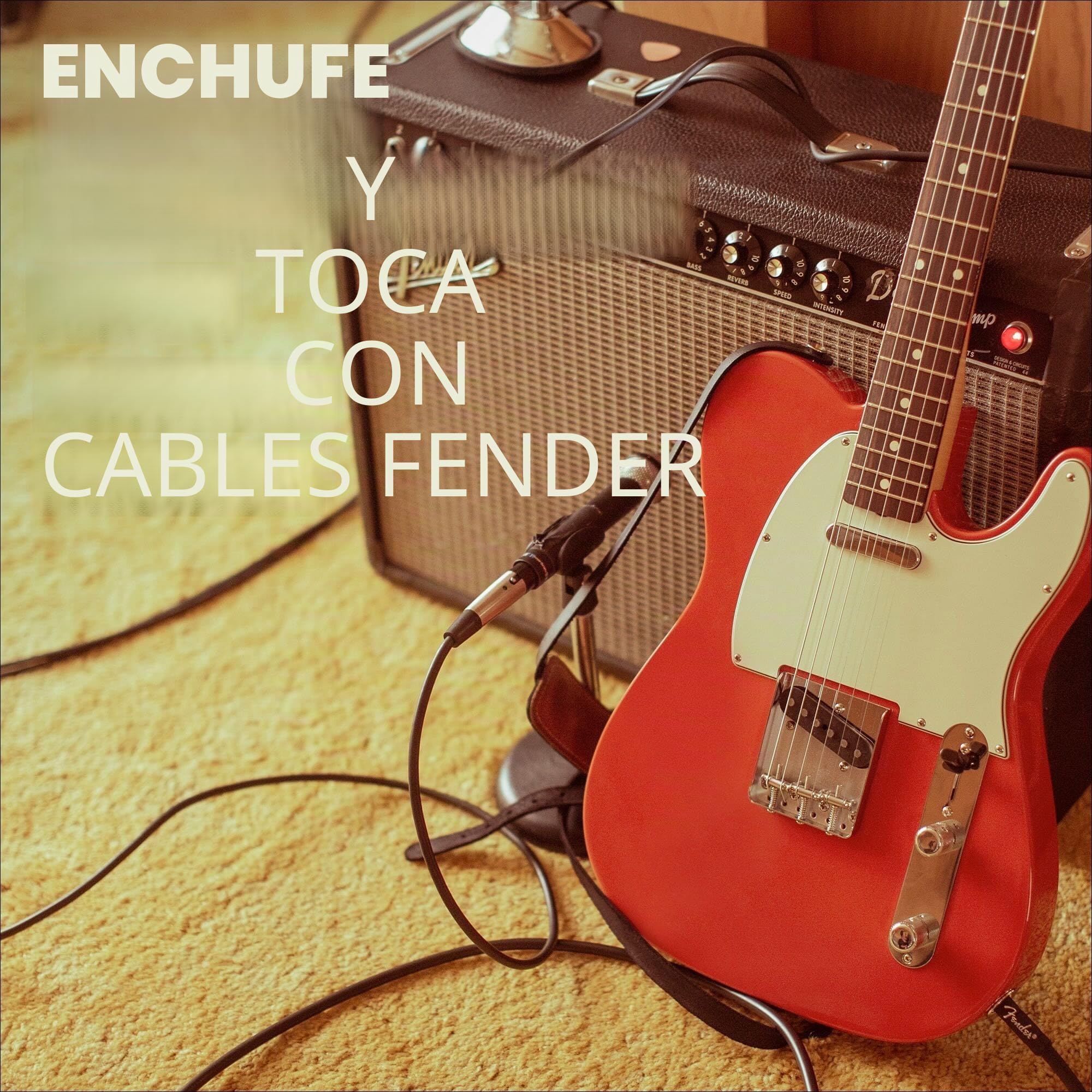 Fender DELUXE 15' ANGL INST CABLE TWD
