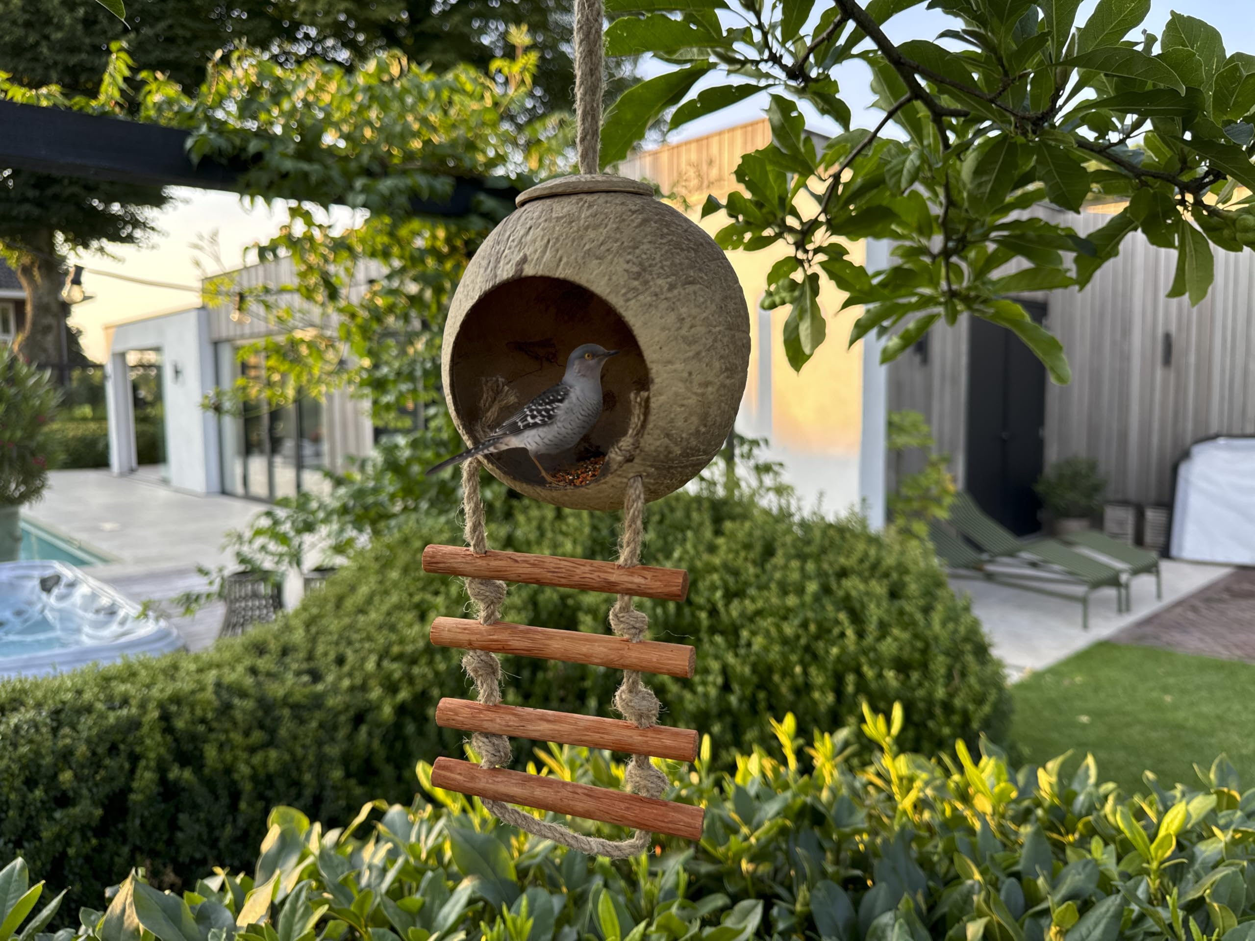 Casetta per uccelli realizzata a mano in cocco – Ciotola di cocco riciclata, mangiatoia per uccelli in stile scala, resistente alle intemperie per piccoli uccelli, rettili, amanti del giardino