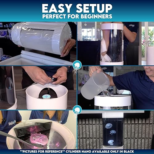 Miniatura 6 de Jellyfish Art Jelly Cylinder Nano Generation 2 (kit solo acuario) - Acuario principiante para medusas vivas