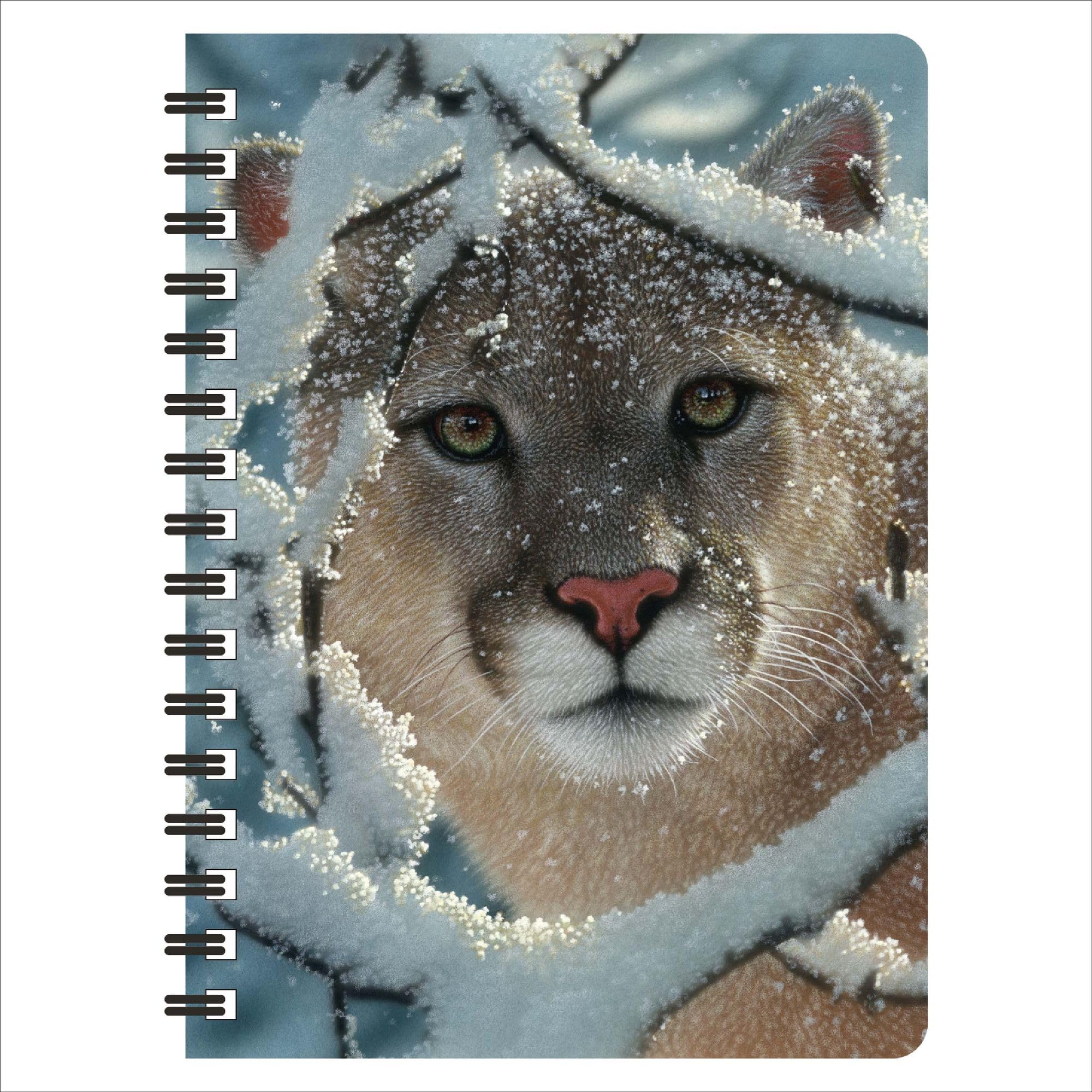 3D LiveLife Jotter - Silent Encounter from Deluxebase. Spiral Bound A6 Notebook with 80 Plain Recycled Pages. Pocket Sized Animal Notepad, Journal or Drawing Book with Cougar Cover